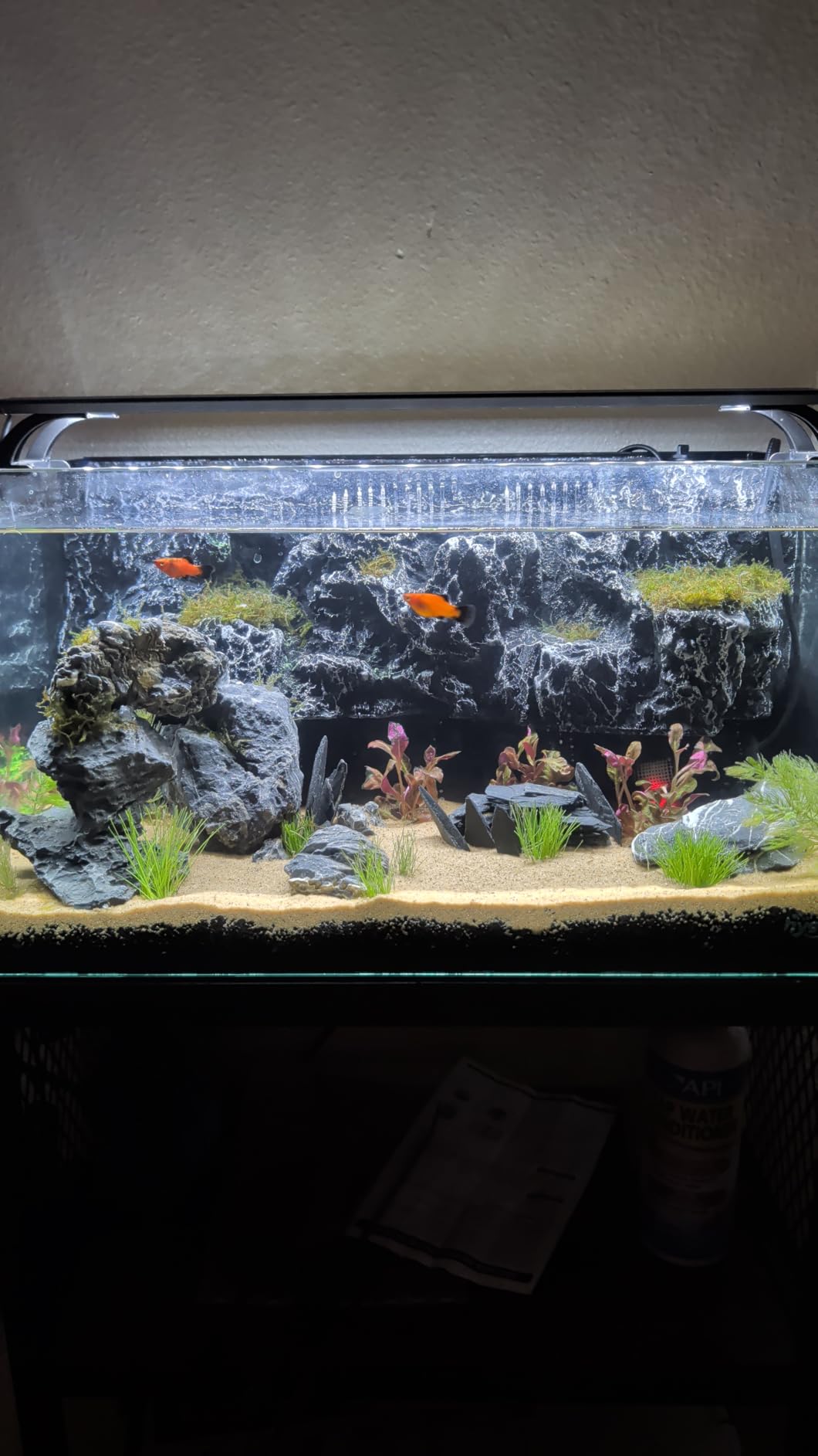 hygger Horizon 8 Gallon LED Glass Aquarium Kit for Starters with 7W Power Filter Pump, 18W Colored led Light, Wide View Curved Shape Fish Tank with Undetachable 3D Rockery Background Decor customer photo 2