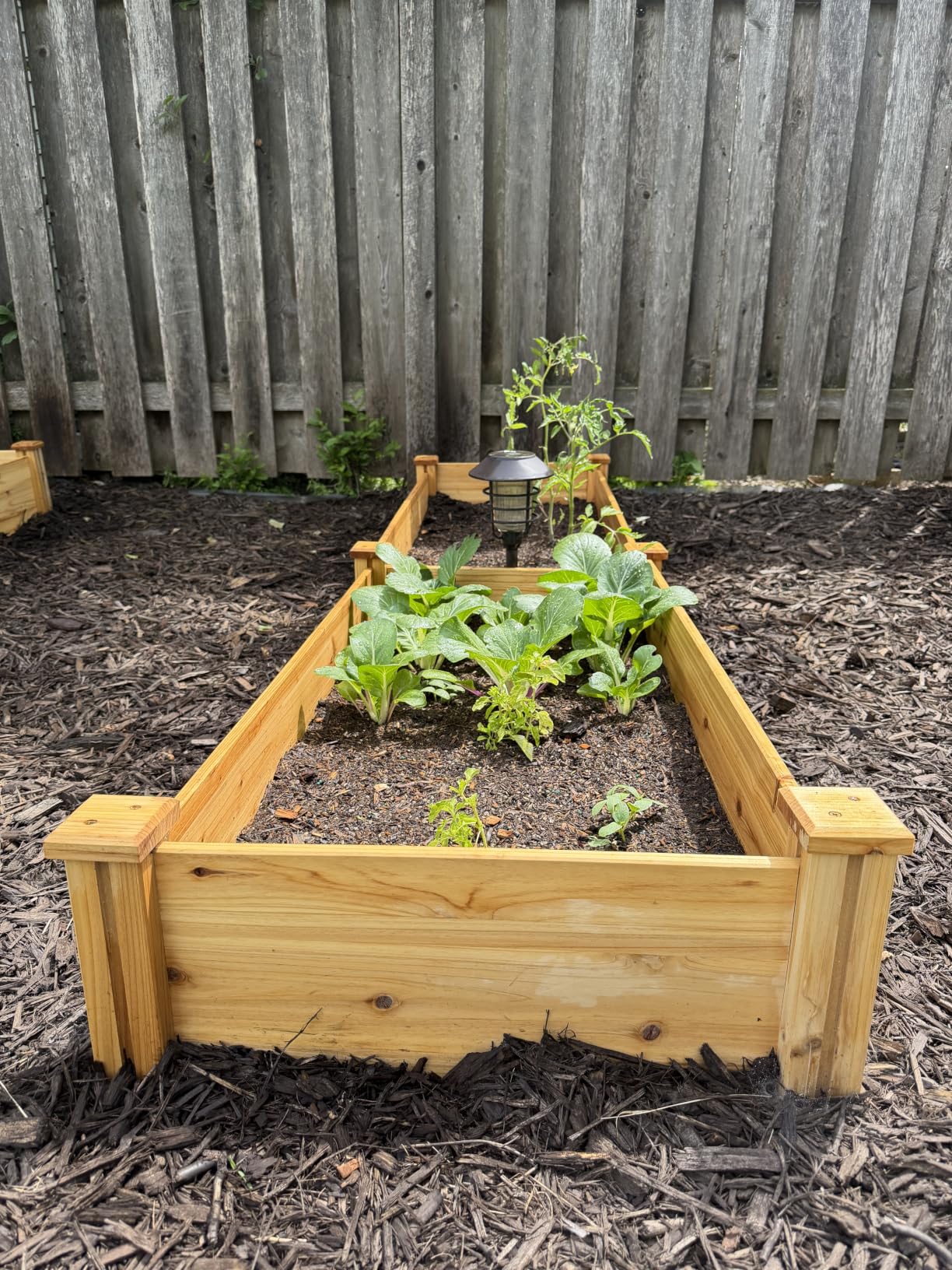 Yaheetech 8x2ft Wooden Horticulture Raised Garden Bed Divisible Elevated Planting Planter Box for Flowers/Vegetables/Herbs in Backyard/Patio Outdoor, Natural Wood customer photo 2