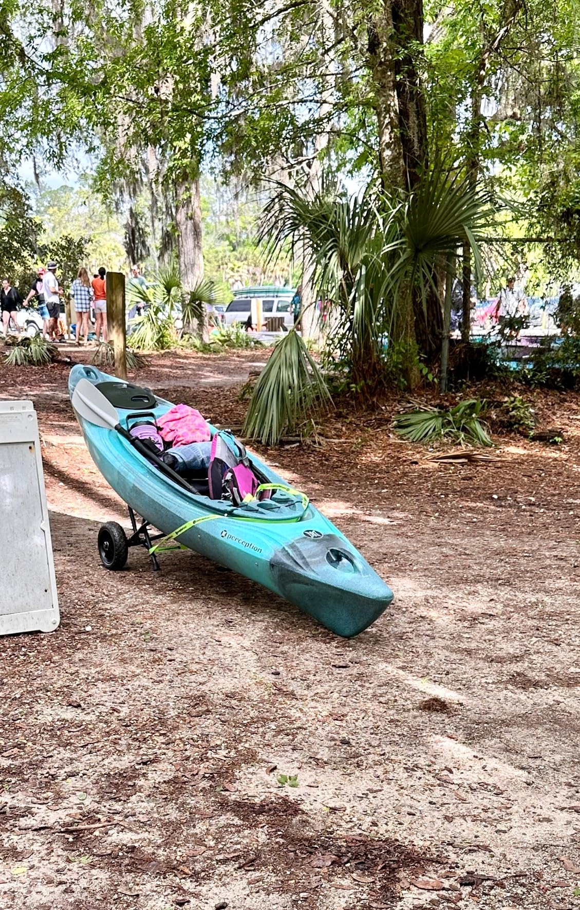 Perception Joyride - Sit Inside Kayak for Adults and Kids - Recreational and Multi-Water Kayak with Selfie Slot customer photo 2