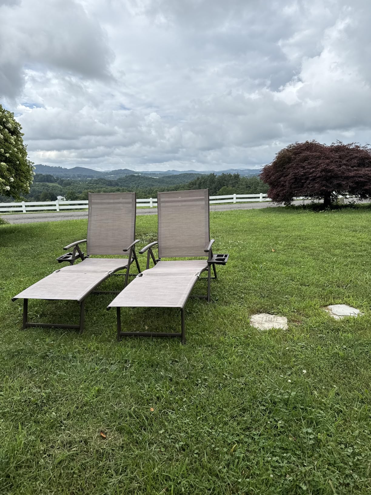 Kozyard Aluminum Outdoor Chaise Lounge Chair, Adjustable Reclining Patio Lounge with Drink Holder, Weather-Resistant Pool, Balcony, Yard Recliner, Assemble-Free, Beige customer photo 1