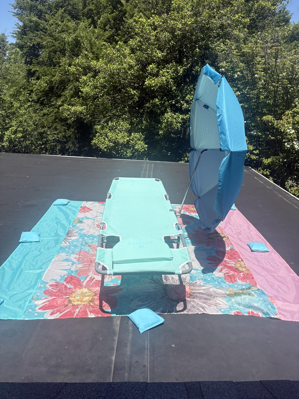 Ostrich the Original Chaise 72 x 22 Inch Lounge Portable Reclining Lounger, Outdoor Patio, Beach, Lawn, Camping, or Pool Tanning Chair, Teal customer photo 1