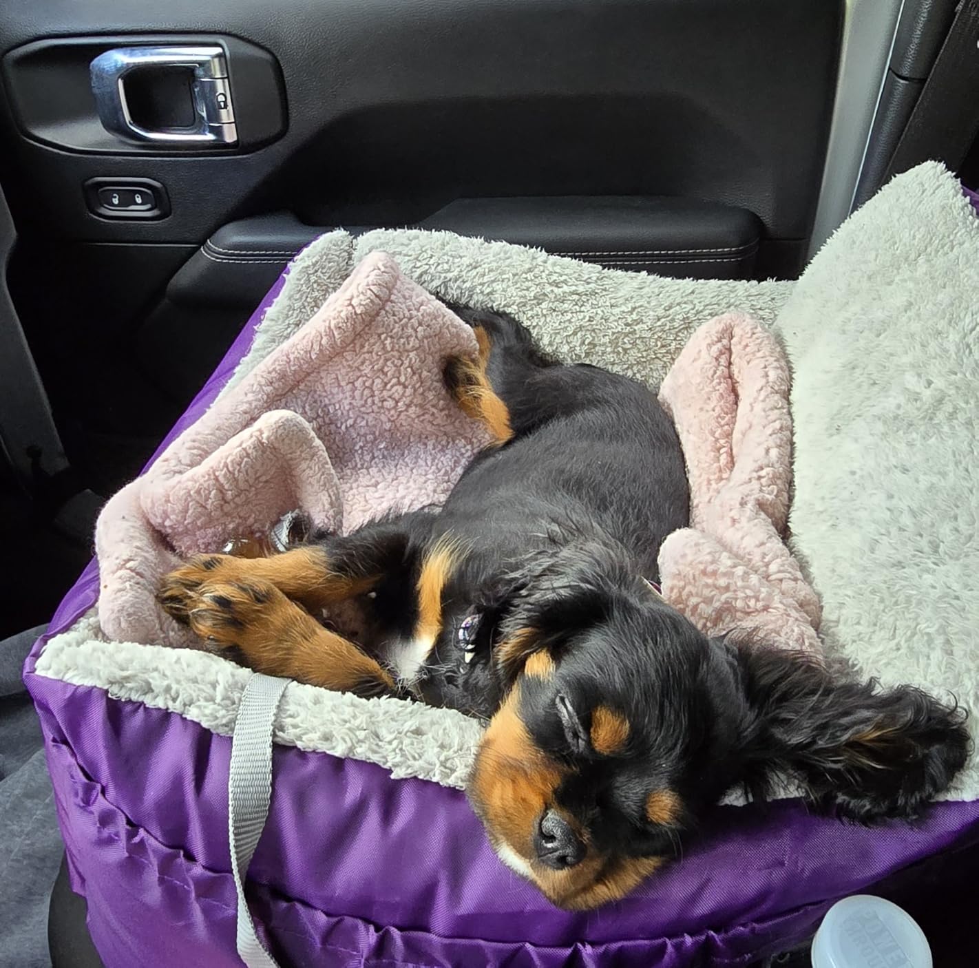 BurgeonNest Dog Car Seat for Small Dogs, Soft Pet Car Travel Home Bed Under 25 lbs, Fully Detachable and Washable Cat Booster Carseats with Storage Pockets and Clip-On Leash Portable Carrier customer photo 1