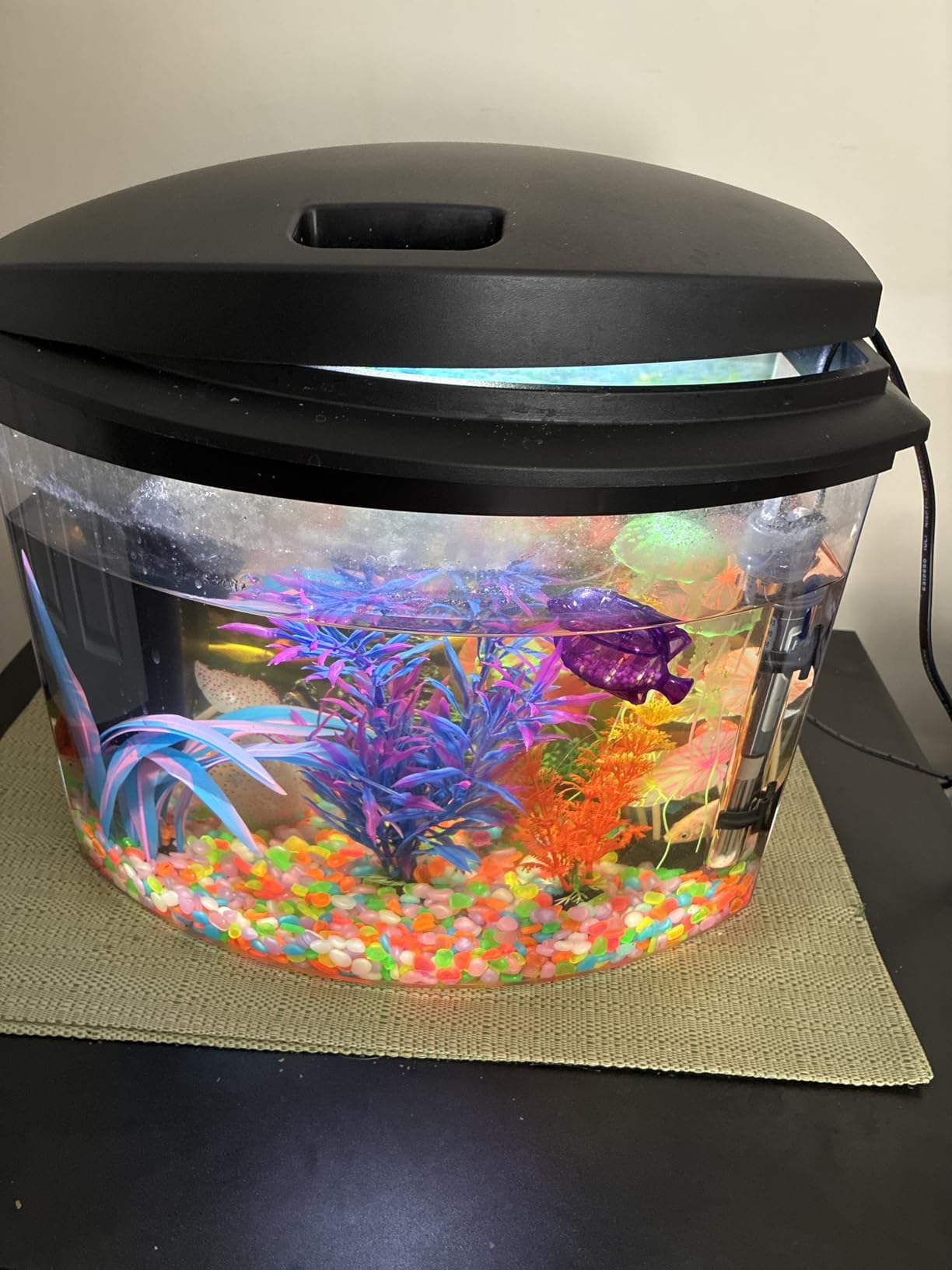 Aqueon LED MiniBow Small Aquarium Fish Tank Kit with SmartClean Technology, 2.5 Gallon customer photo 2