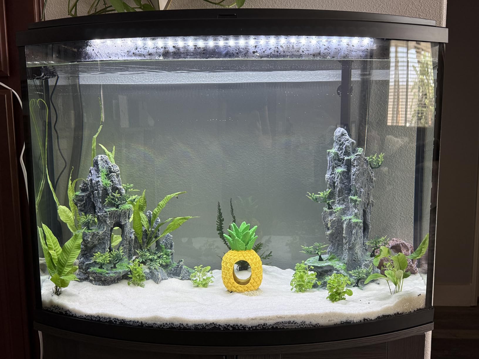 AMOSIJOY Canister Filter, Ultra-Quiet External Aquarium Filter with Free Media for Large Fish Tanks customer photo 1