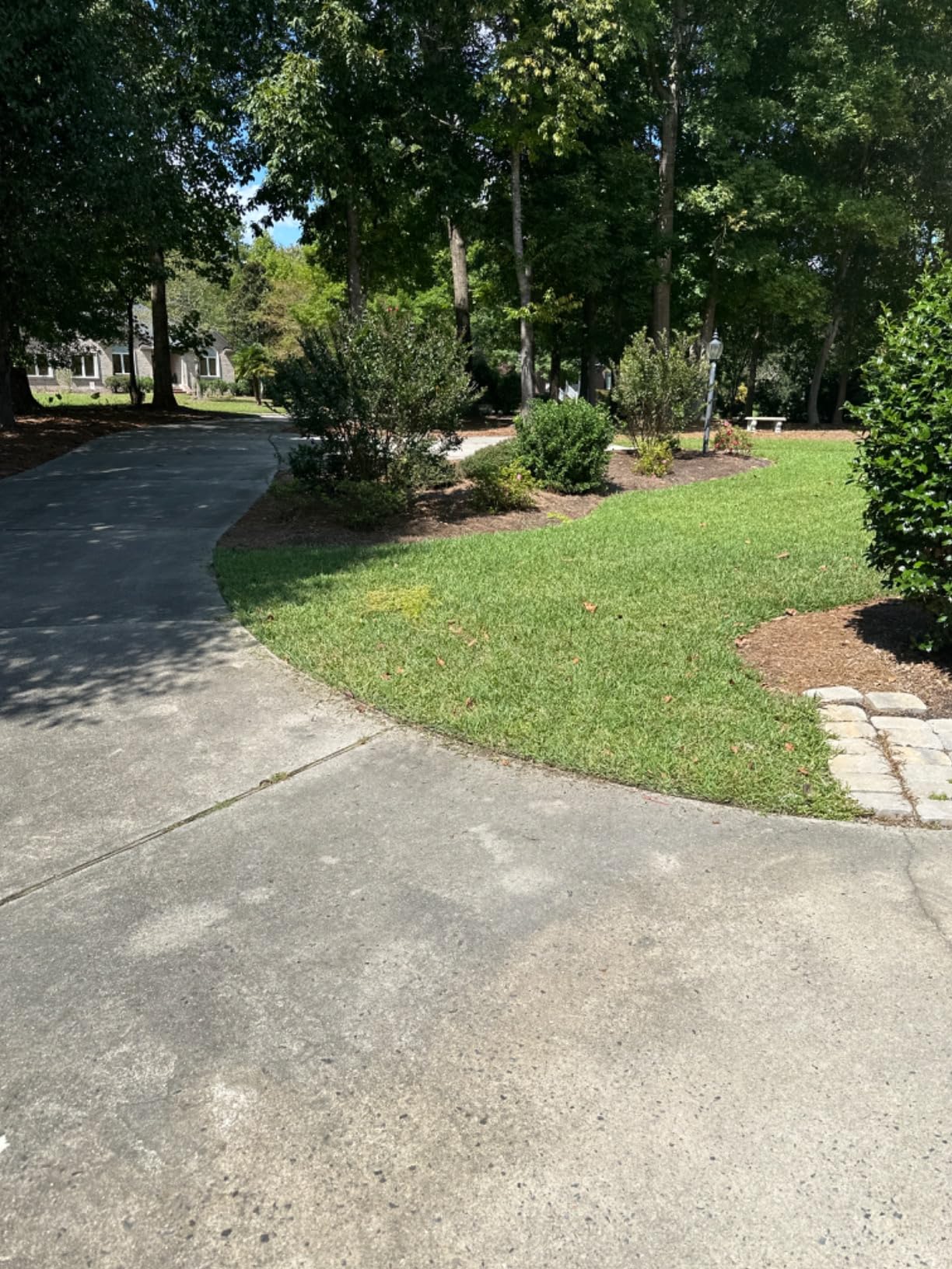 CRAFTSMAN Cordless Edger Lawn Tool, 20V MAX Battery, Charger and Blade Included, 7.5 in Cutting Width (CMCED400D1) customer photo 2