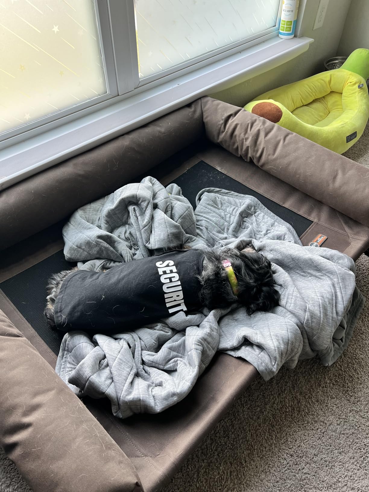 K&H Pet Products Bolster Dog Cot Cooling Indoor/Outdoor Elevated Dog Bed Hammock with Removable Bolster, Washable Mesh Cover, Raised Camping Bed for Large Pets - Charcoal Large 42