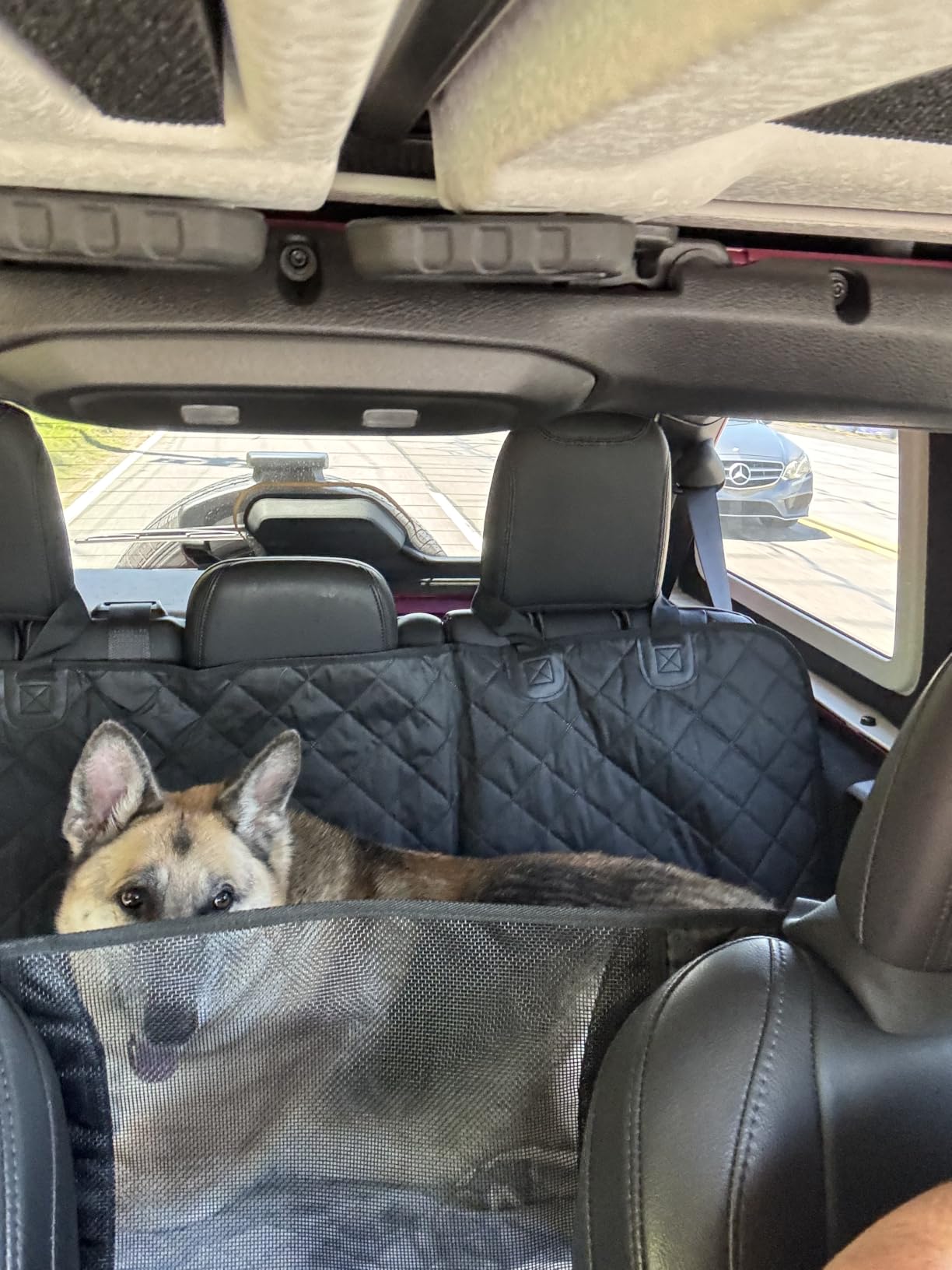 URPOWER 2026 Upgraded Back Seat Extender for Dogs - Large Hard Bottom Dog Car Seat Cover Holds 550lbs, Waterproof Dog Hammock Pet Bed with High-Density Foam Non-Slip Backseat Protector customer photo 1