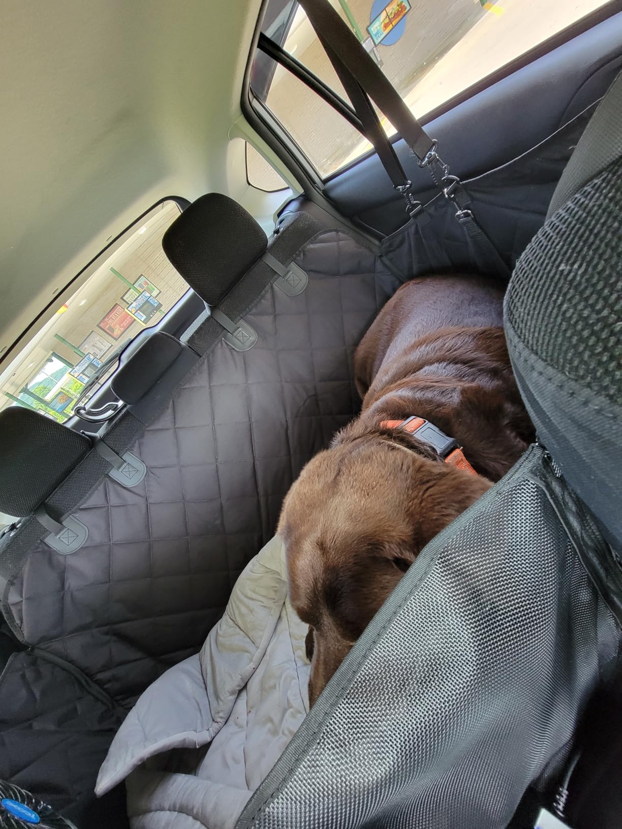 Back Seat Extender for Dogs-Large Space, Dog Car Seat Cover Hard Bottom Holds 420lbs, Sturdy Backseat Extender for Dogs,Upgraded Waterproof Pet Car Bed Dog Hammock for Car, SUV,Truck, Black customer photo 1