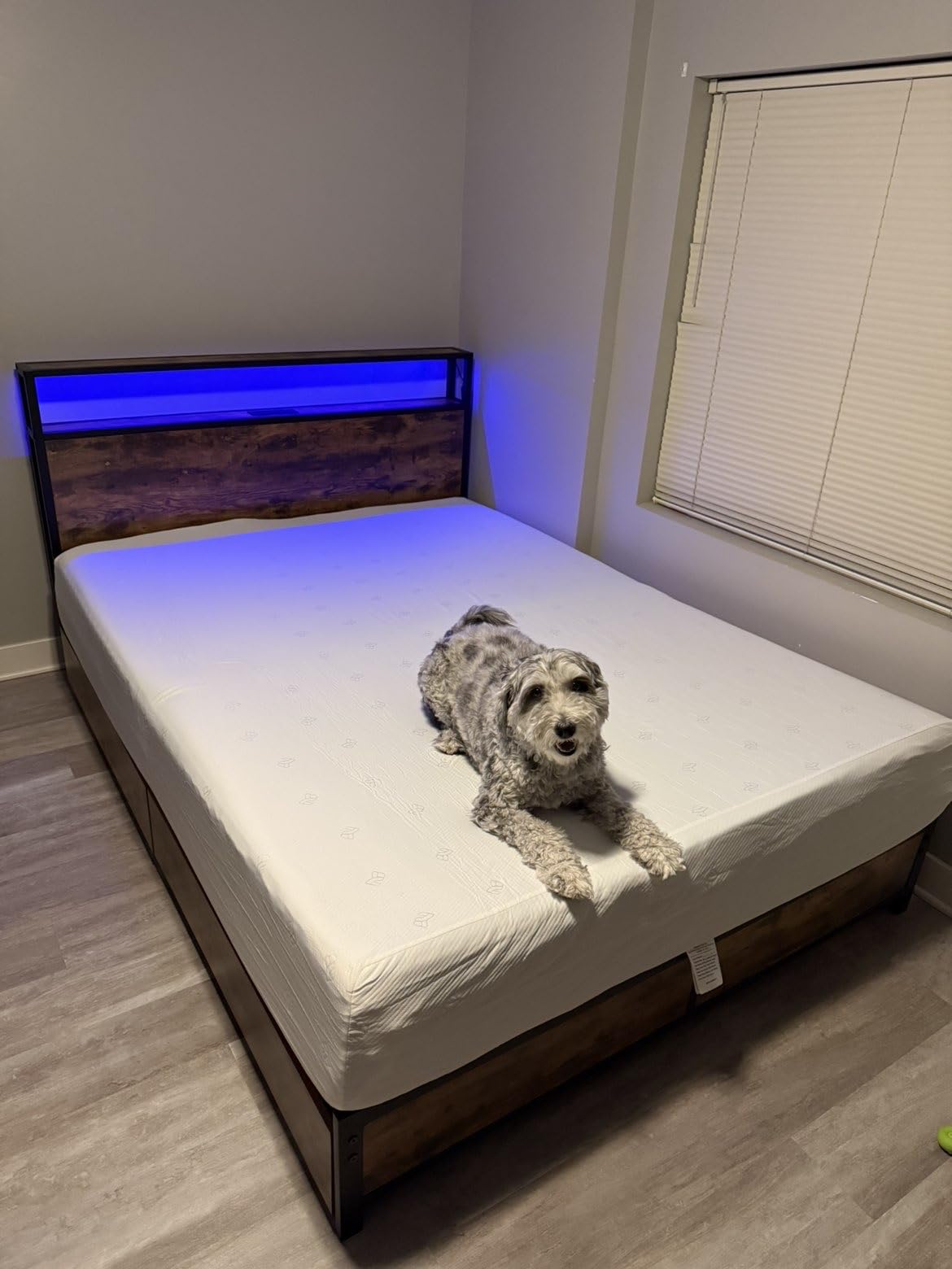 Lifezone Queen Bed Frame with 2-Tier Storage Headboard, Metal Platform Bed Frame with 4 Storage Drawers, Built in Charging Station & LED, Noise-Free/Metal Support/No Box Spring Needed, Vintage Brown customer photo 1