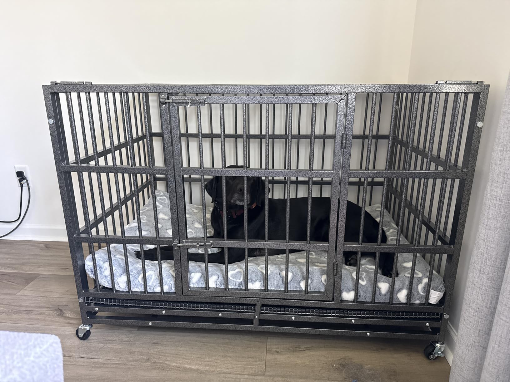 BOLDBONE 54 inch Heavy Duty Indestructible and Escape-Proof Dog Crate Cage Kennel for Large Dogs, High Anxiety Dog Crate with Removable Wire Trays and Wheels, Extra Large XL XXL, Black customer photo 1