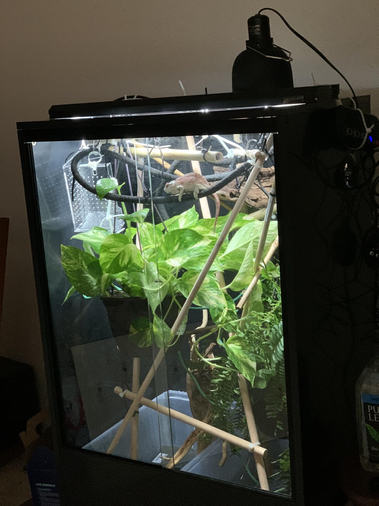 REPTI ZOO 67 Gallon PVC Tall Reptile Tank, 24 x18x36 inch Large Reptile Terrarium for Gecko Lizard Chameleon Frog Snake, Enclosure Habitat with Sliding Door & Top Screen Ventilation customer photo 1