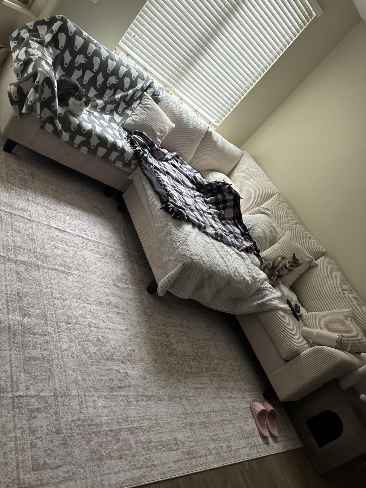 Soalmost Washable Area Rug 8x10, Large Soft Rugs for Living Room Vintage Beige Carpet 8x10 Area Rugs for Bedroom Dining Room Non-Slip Stain Resistant Under Table Rug customer photo 1