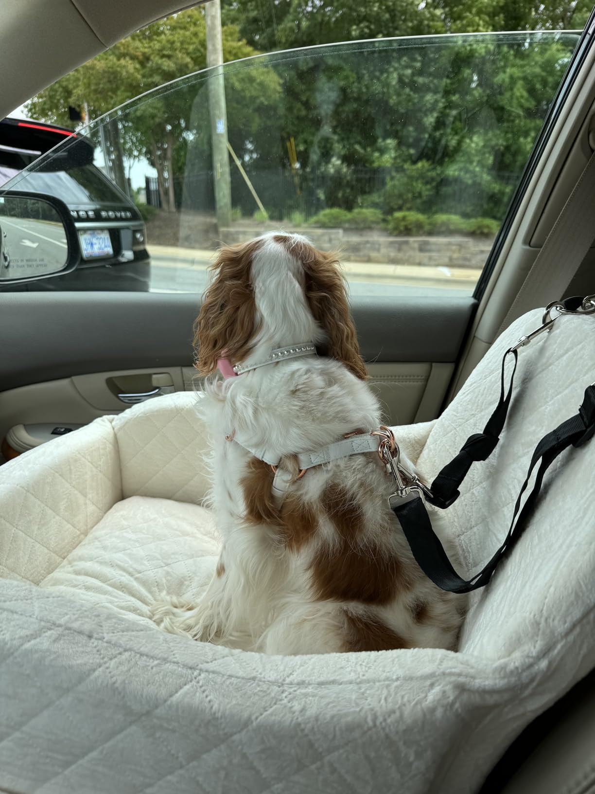 Lealchum Dog Booster Car Seat for S/M Dogs Up to 35lbs, Soft 6in Elevated Cushion, Fits in Front/Back Seat, Fully Detachable and Washable, 2 Storage Pockets & 3 Straps, Easy to Install customer photo 1
