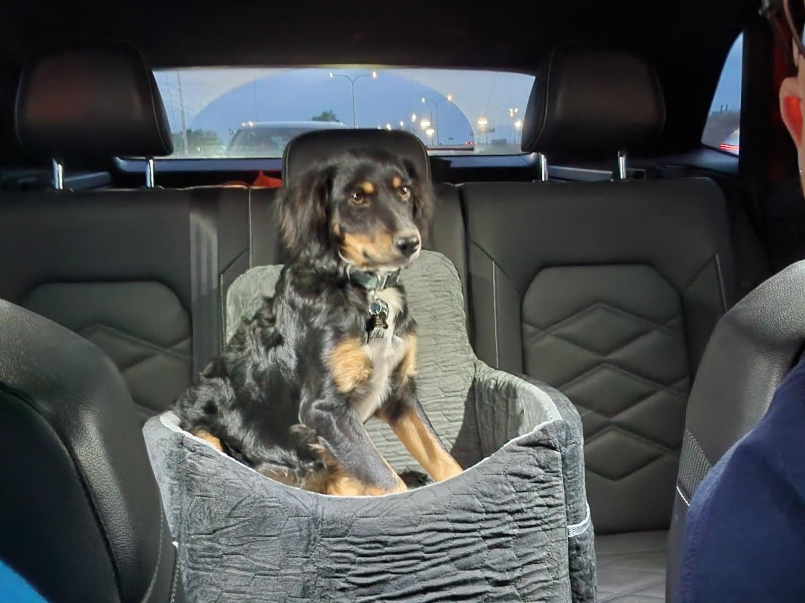 Dog Car Seat for Small/Medium Dogs, Memory Foam Dog Booster Seat, Travel Safety Pet Car Seat with Washable Removable Cover, Storage Pockets for Dogs up to 35 lbs customer photo 2