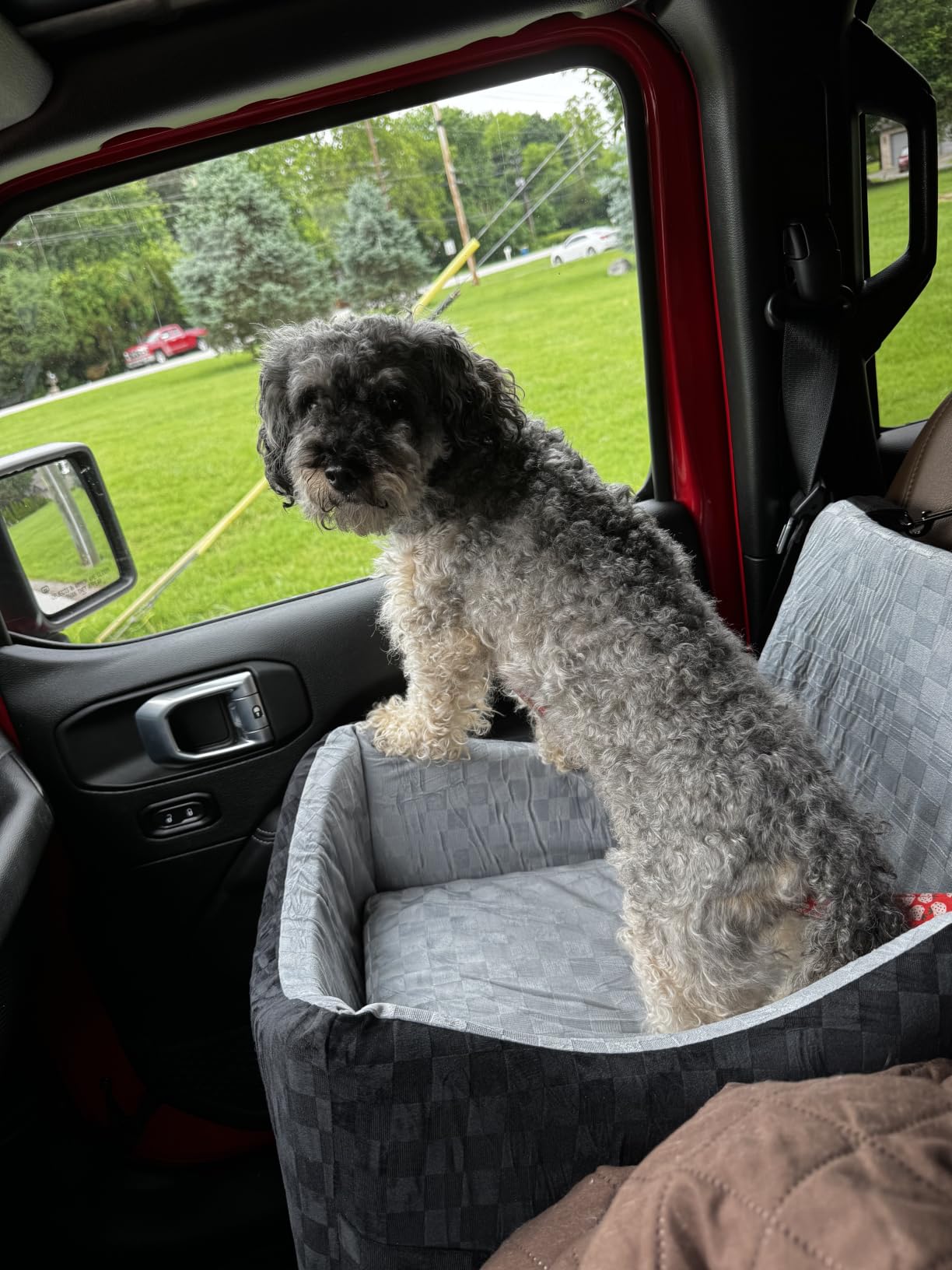 JOEJOY Elevated Dog Car Seat for Small/Medium Dogs up to 35 lbs, Memory Foam Booster Seat with Detachable Washable Cover, Travel-Safe Car Bed with Safety Belts & Storage Pockets customer photo 2