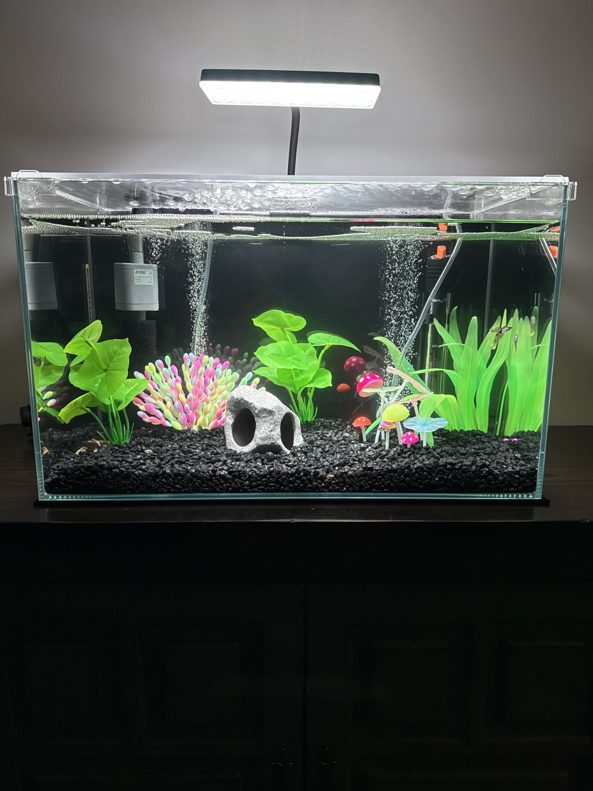 Vimvins 10 Gallon Glass Small Fish Tank with Filter Light and Lid, Aquarium Starter Kit customer photo 2