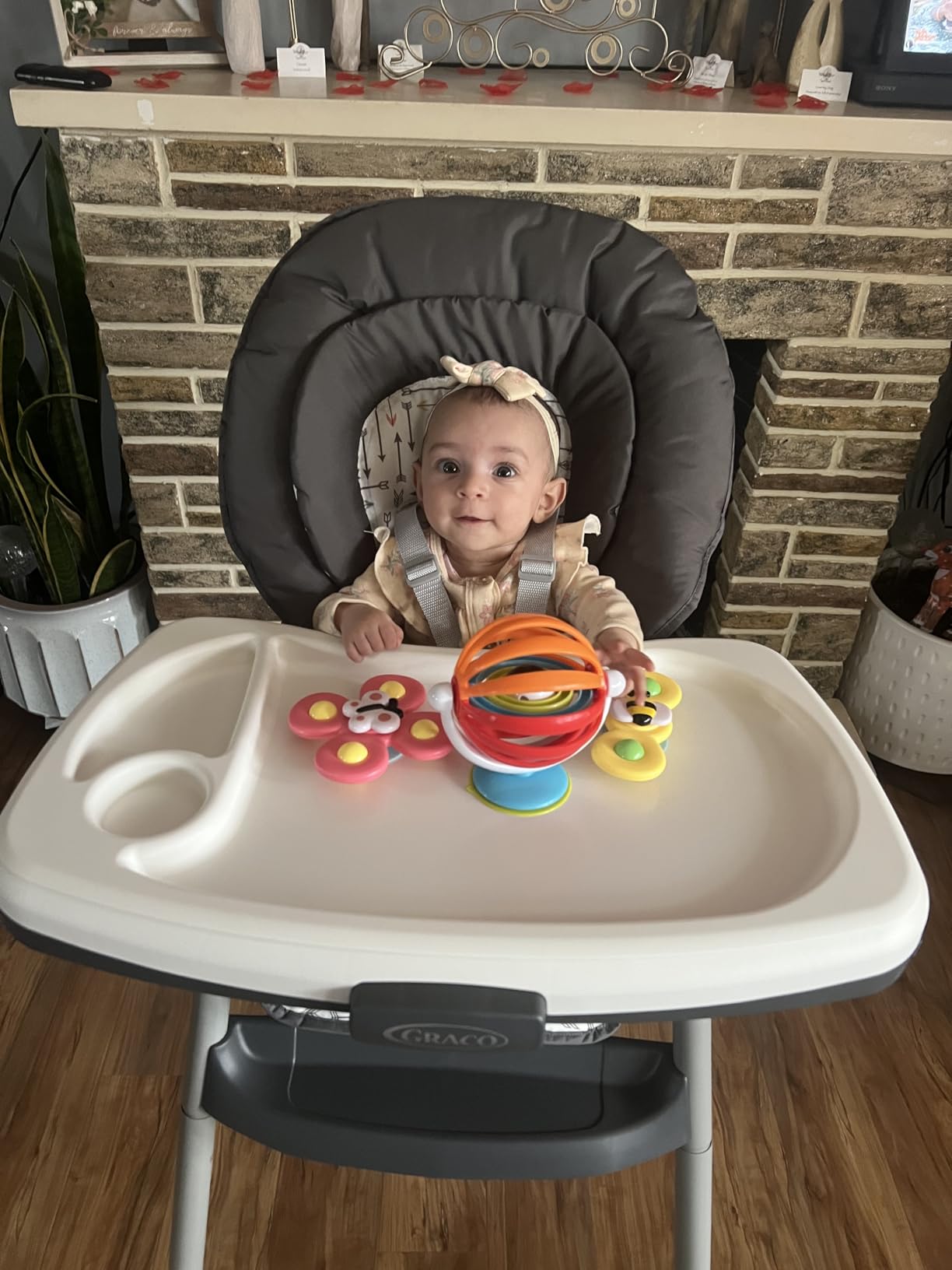 Graco Table2Table LX 6-in-1 Highchair, Willow with Infant Head Support & One-Hand Removable Tray customer photo 1