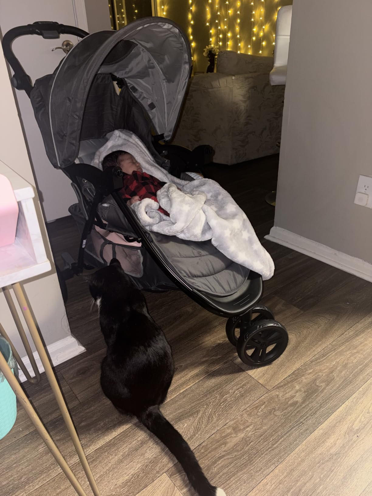 Baby Trend EZ Ride SE Travel System with Secure-Lift Infant Car Seat, Dash Sage customer photo 2