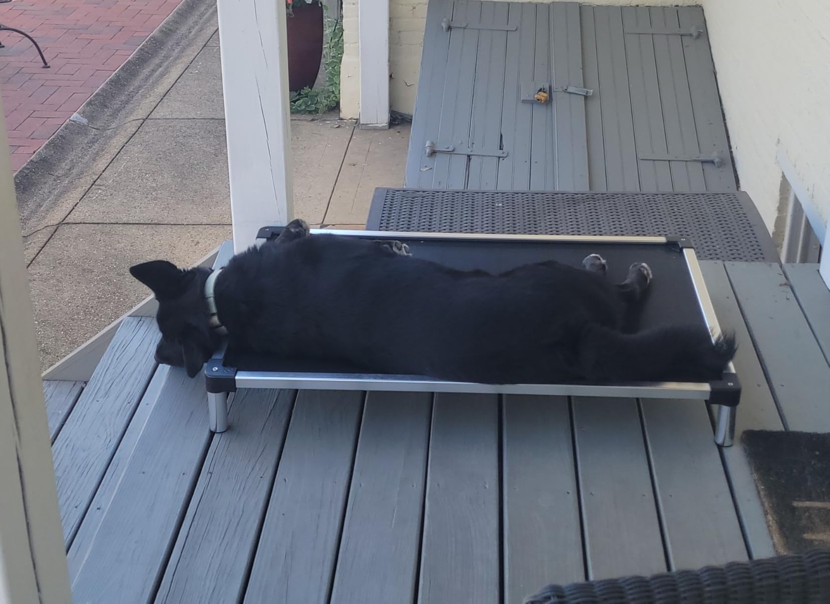 K9 Ballistics Chew Proof Elevated Cooling Dog Bed - Made for Aggressive Chewers, Virtually Indestructible, Ripstop Fabric with No Padding, Pre-Assembled - Large, Seasonal (Old) Black customer photo 2