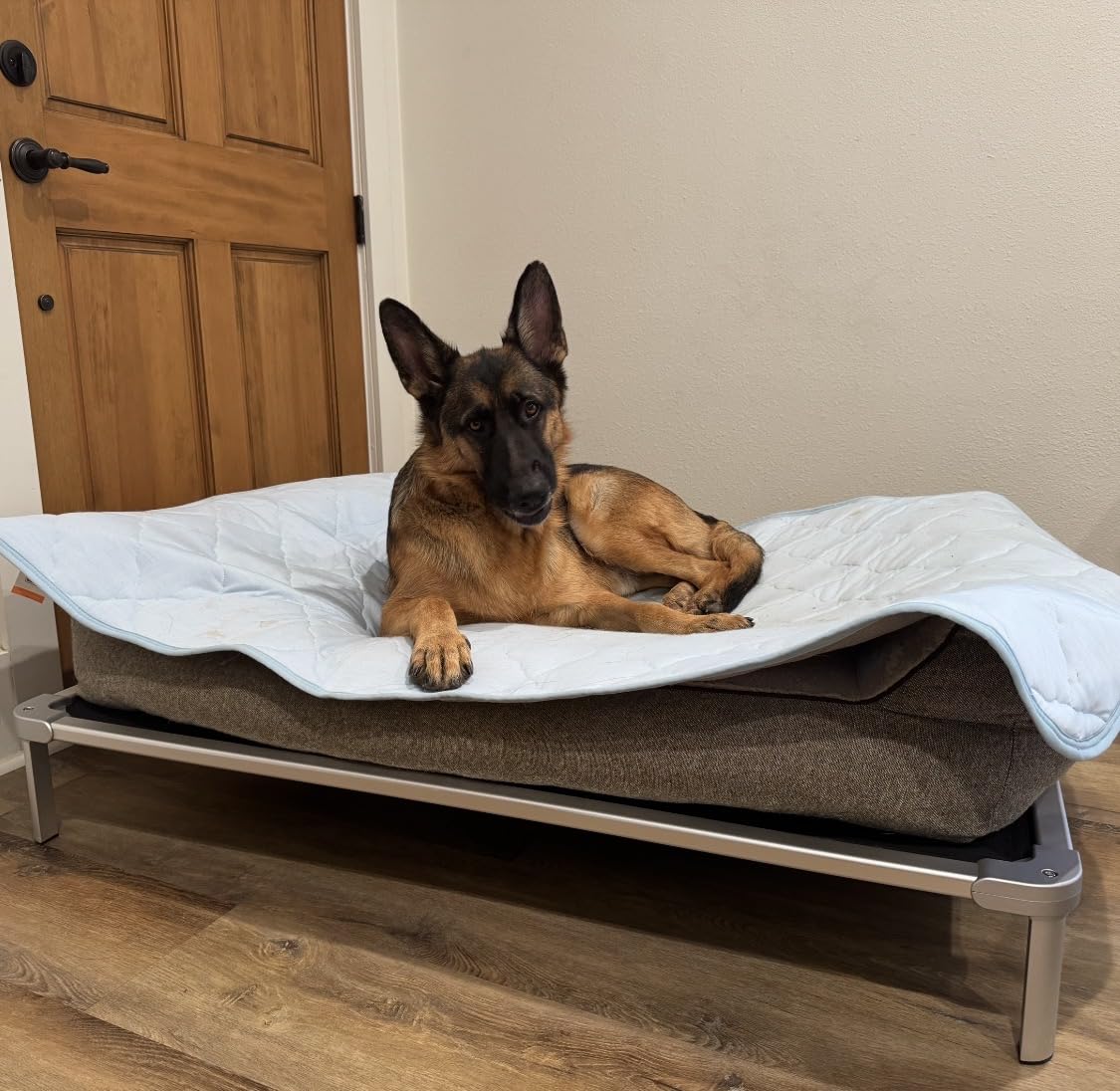 Senneny Chew Proof Elevated Dog Bed Medium Sized Dog, Raised Cot for Indoor Outdoor Camping, Heavy-Duty Chew Resistant Hidden Fabric Indestructible Dog Bed, M, 42