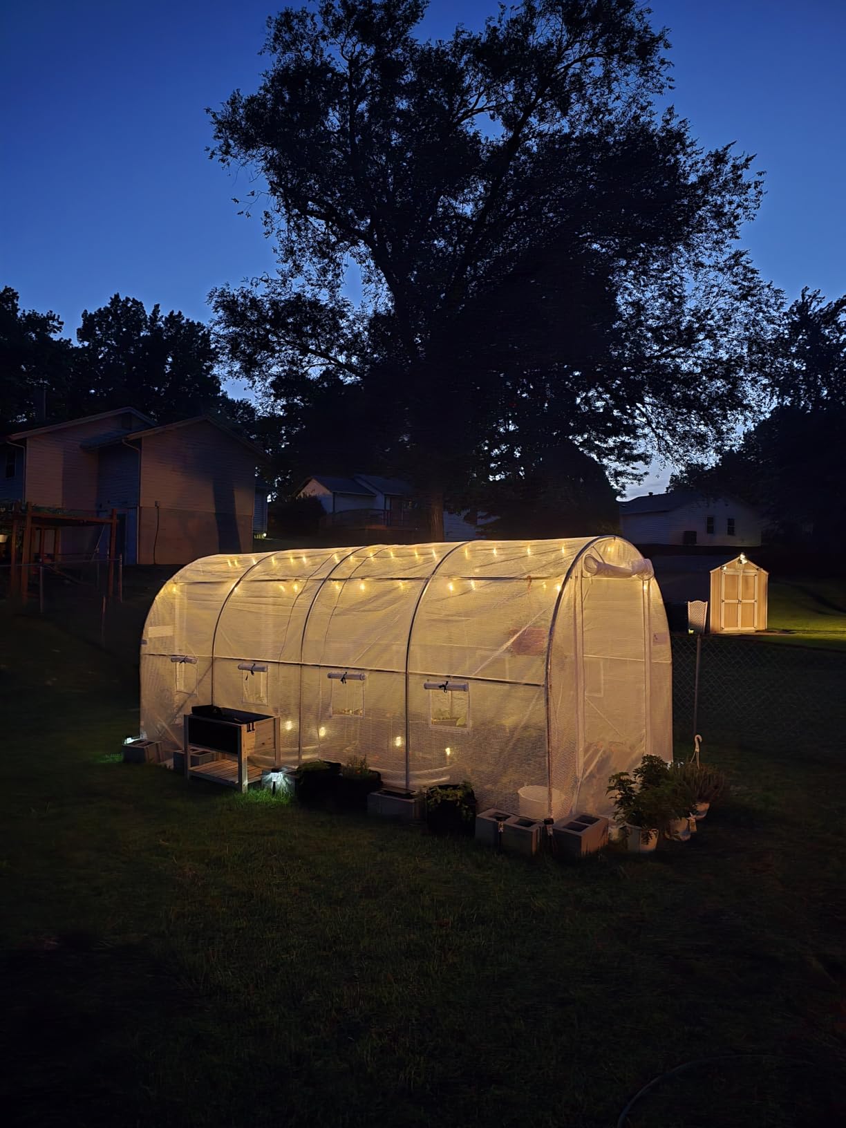 KING BIRD Premium 15x7x7FT Greenhouse for Outdoors, Walk-in Galvanized Steel Frame, Screen Mesh Door Window Plastic Cover, Upgraded Zipper Small Portable Tunnel Hoop House for Outside, White customer photo 1
