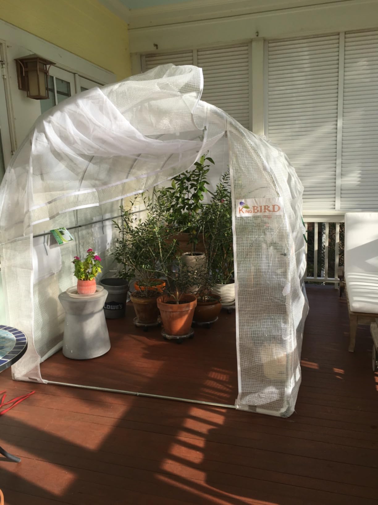 KING BIRD Premium 15x7x7FT Greenhouse for Outdoors, Walk-in Galvanized Steel Frame, Screen Mesh Door Window Plastic Cover, Upgraded Zipper Small Portable Tunnel Hoop House for Outside, White customer photo 2