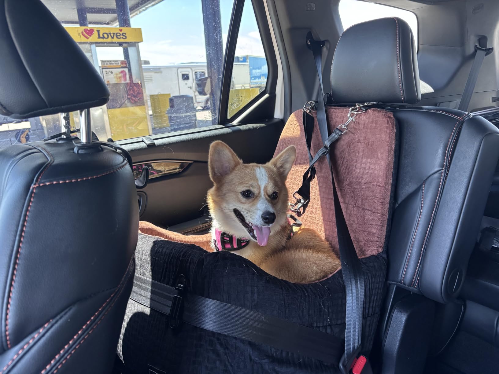 PETSFIT Dog Car Seat for Small/Medium Dogs Up to 35 lbs - Patented Safety System, 5