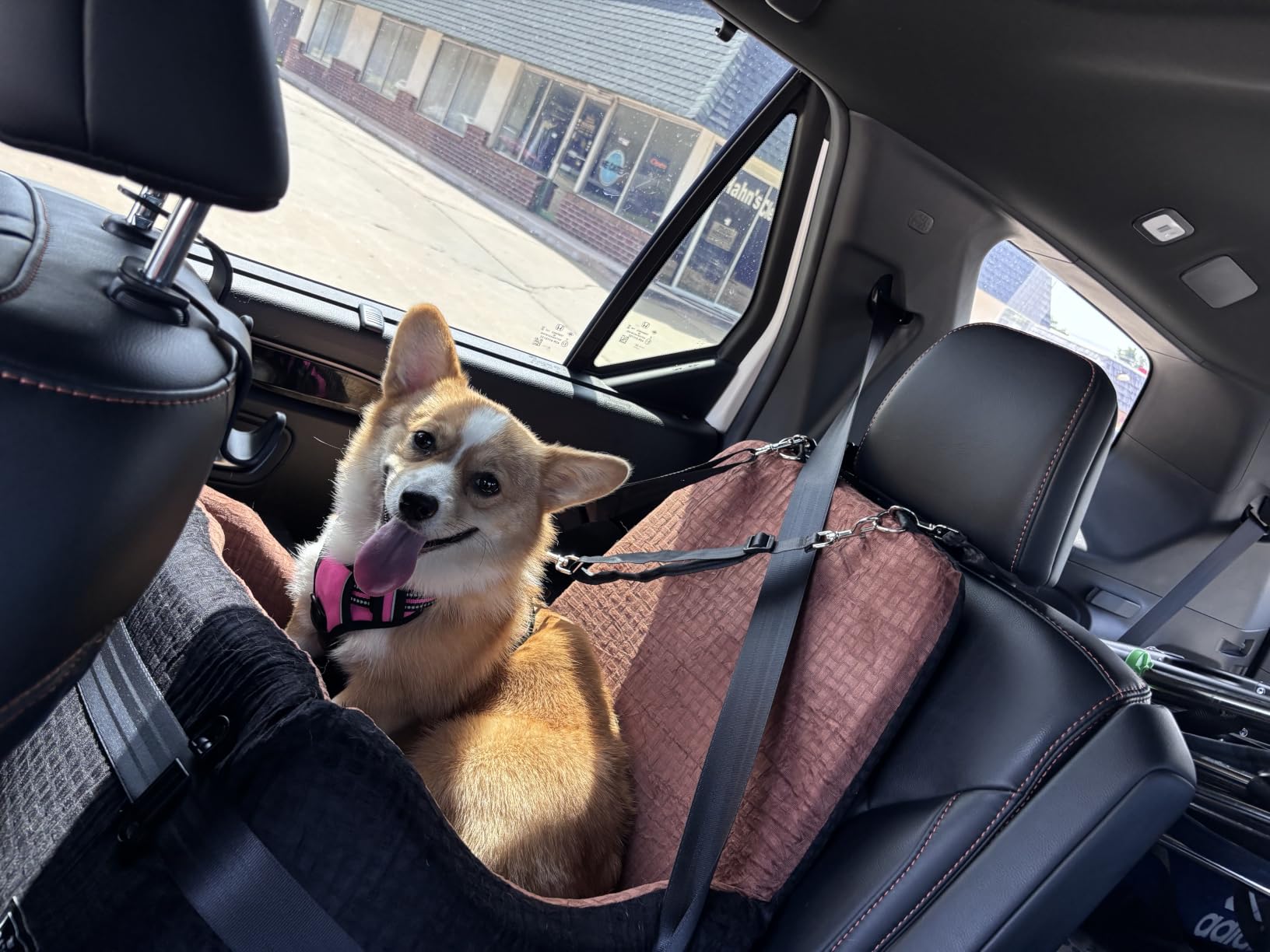 PETSFIT Dog Car Seat for Small/Medium Dogs Up to 35 lbs - Patented Safety System, 5