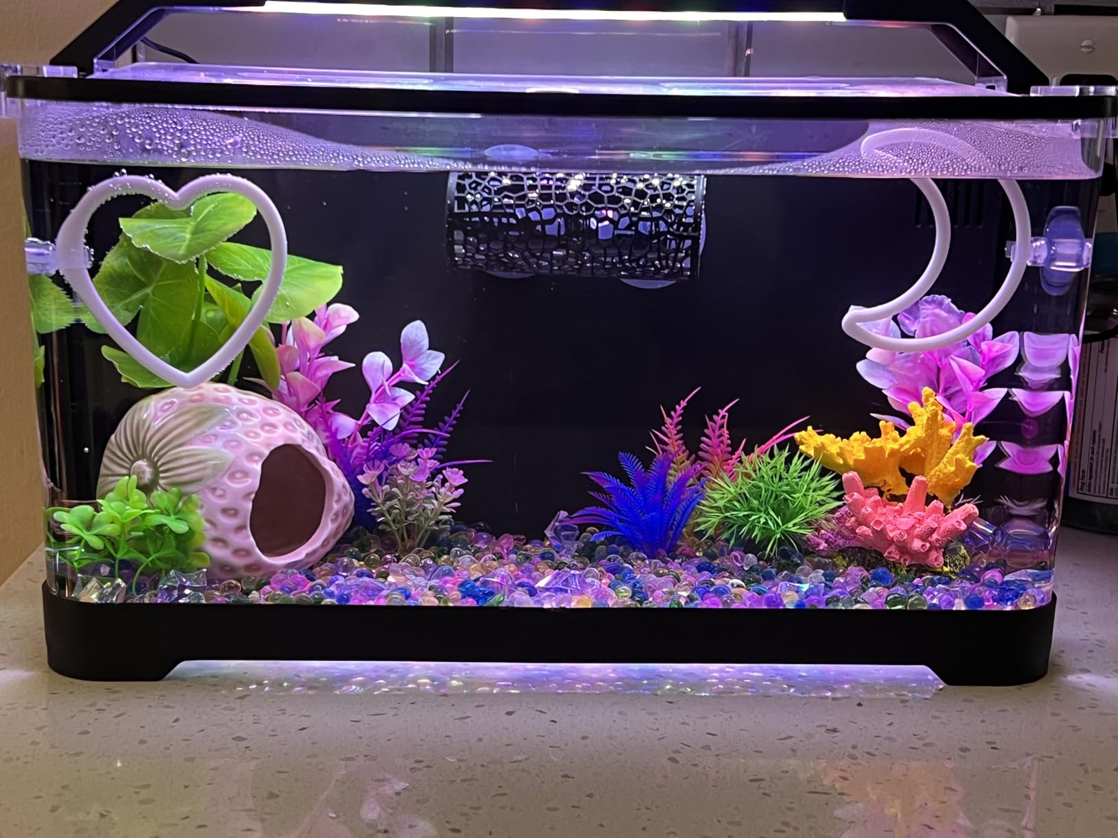 3.5 Gallon Betta Fish Tank, All in One Aquarium Starter Kits with Back Filter, Adjustable Pump, 25W Heater, LED Thermometer, LED Light with Timer & Water Changer Kit customer photo 2