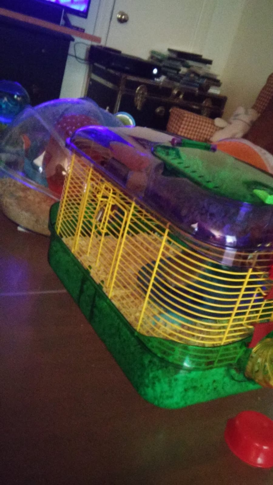 Kaytee Hamster Cage, CritterTrail One Level Habitat for Gerbils or Mice customer photo 1