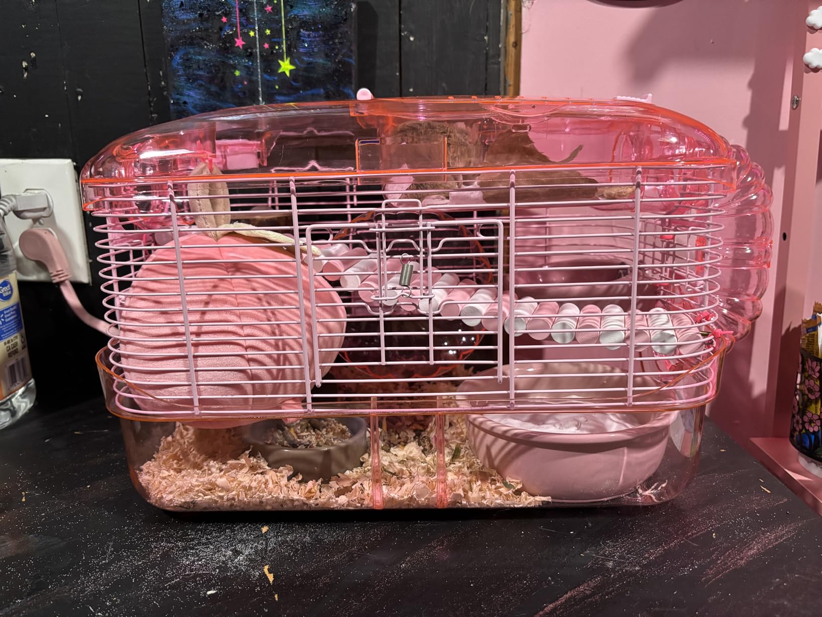 Kaytee CritterTrail Pink Habitat for Pet Mice, Dwarf Hamsters, Hamsters or Gerbils customer photo 2