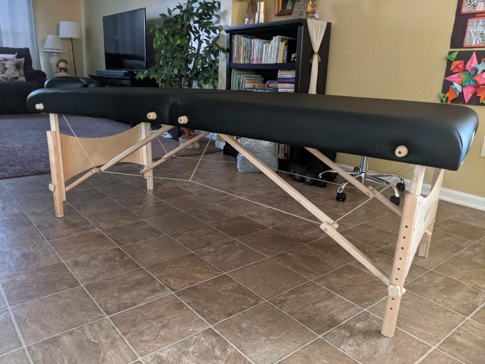 EarthLite Harmony DX Portable Massage Table Package, Includes Table + Face Cradle + Carrying Case, 30