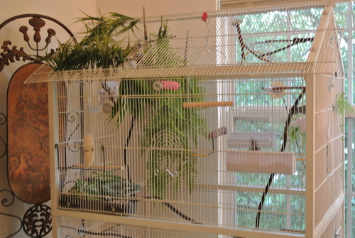 Prevue Pet Products Wrought Iron Flight Cage with Stand, Large Birdcage for Pets, Metal Cage Standing Birdcage, Black Hammertone Finish customer photo 1
