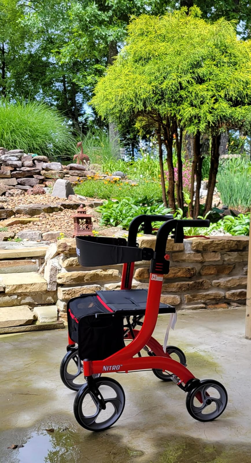 Drive Medical RTL10266 Nitro Euro-Style 4-Wheel Rollator with Seat, Red | Euro-Style 4-Wheel Rollator Walker with Seat for Comfortable, Convenient Everyday Mobility Support and Ease customer photo 2
