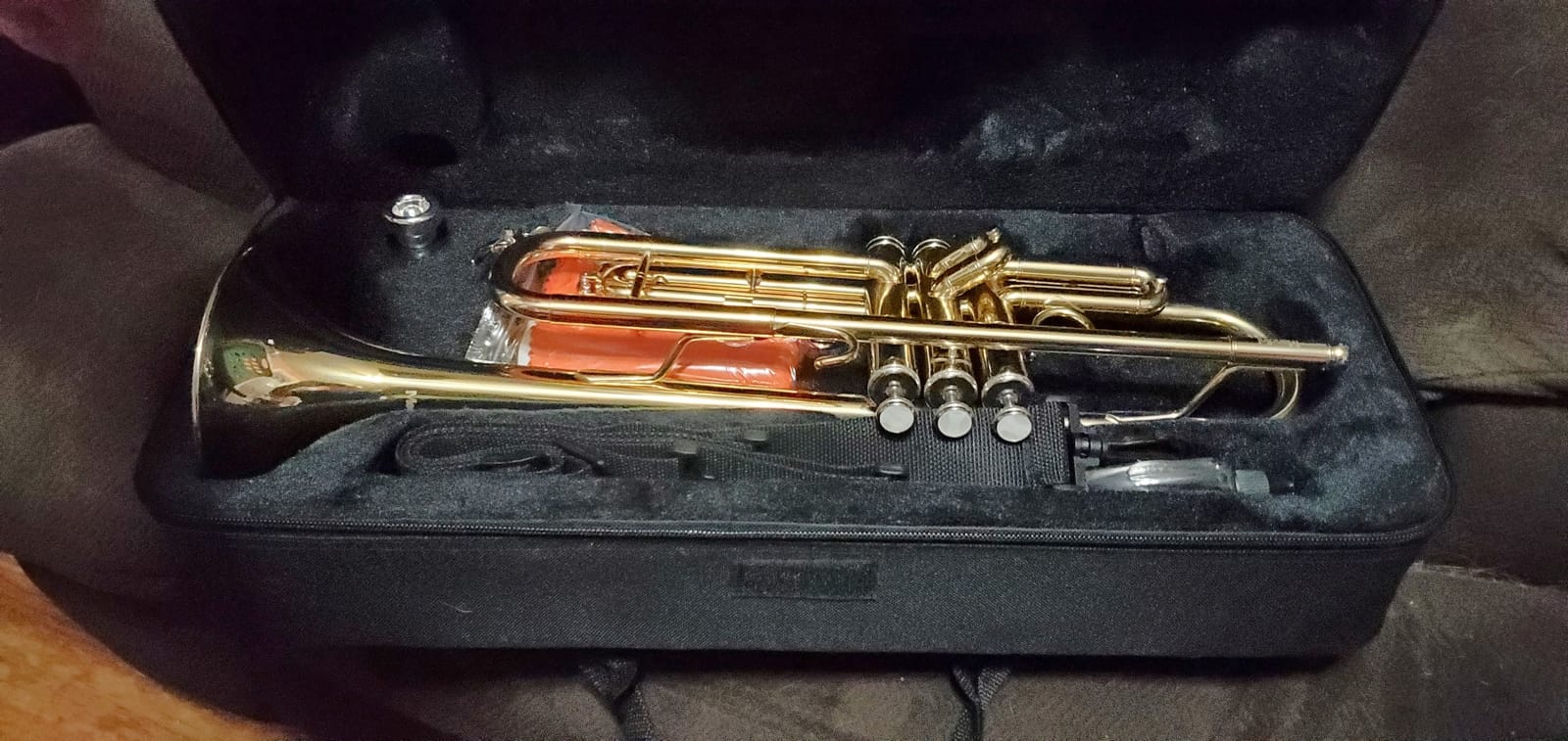 Mendini By Cecilio Bb Standard Trumpet Set for Beginners - Gold | Brass Trumpet Instrument with Hard Case, 7C Mouthpiece, Valve Oil, Cleaning Cloth & Maintenance Kit & Gloves customer photo 1