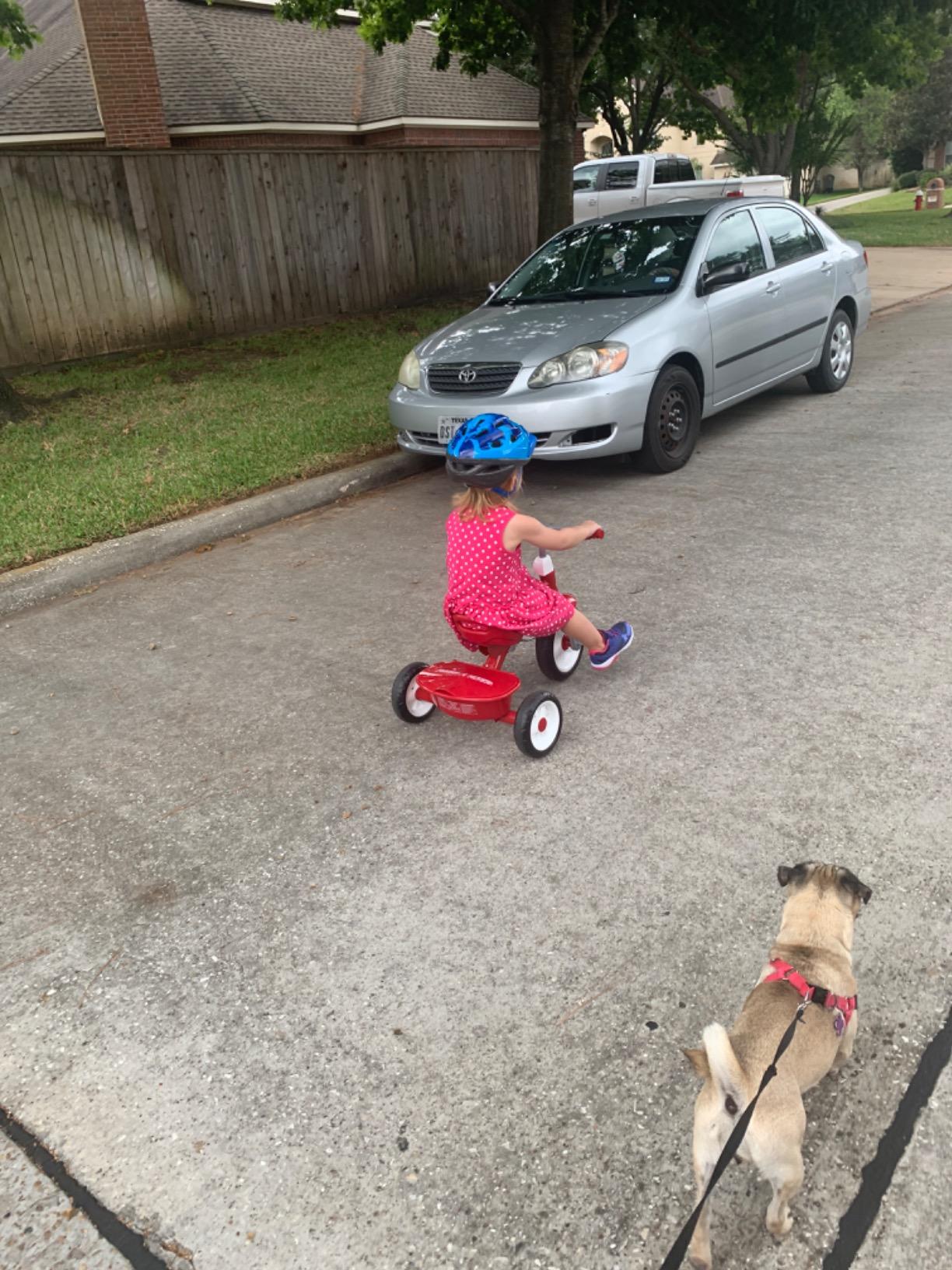 Radio Flyer Red Rider Trike, for Ages 2.5-5, Toddler Tricycle | Quiet Ride Wheels, Comfort Grip Handlebars, Easy Carry Seat Handle, Covered Storage Bin customer photo 1