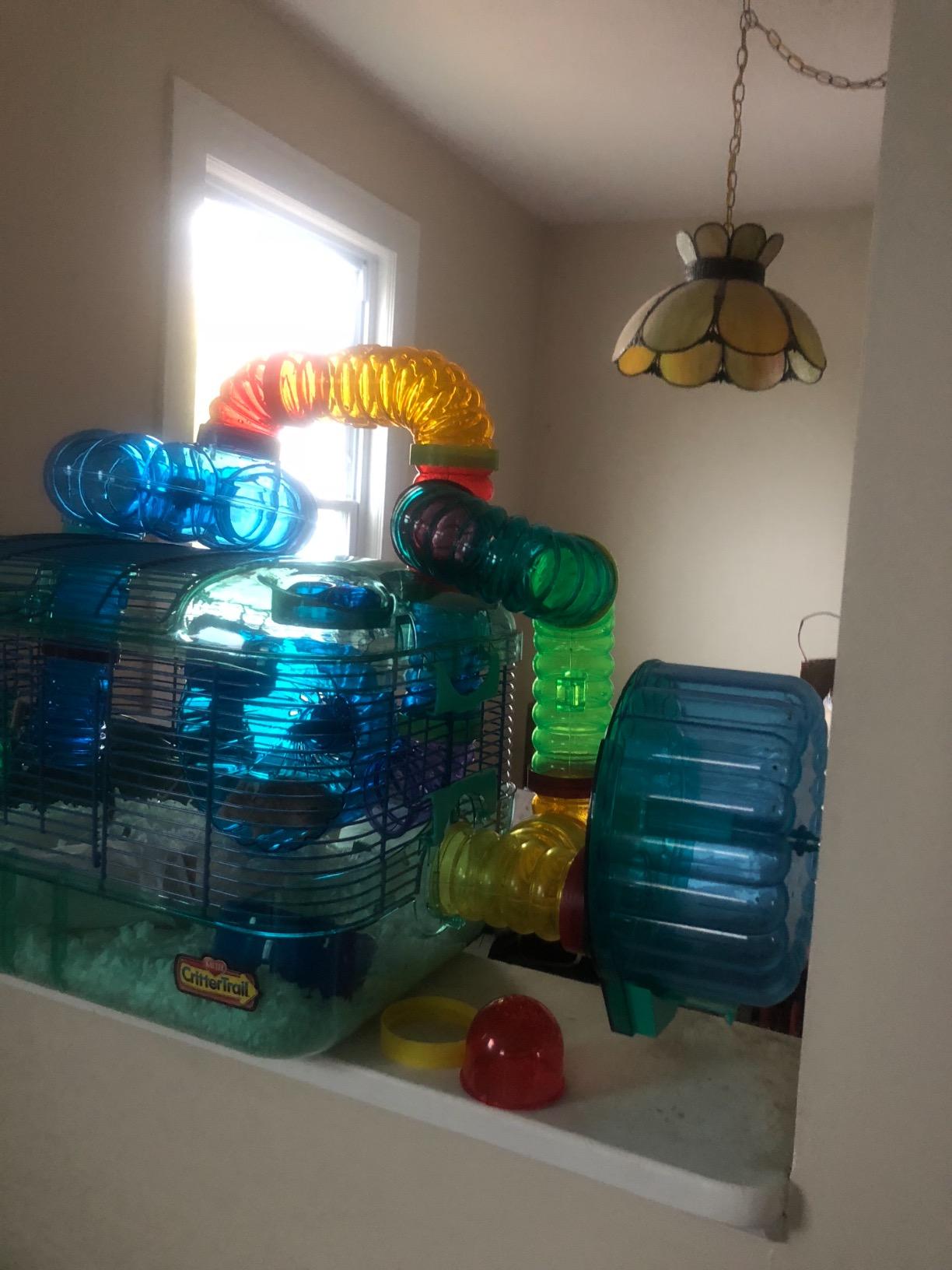 Kaytee CritterTrail Quick Clean Habitat for Pet Gerbils, Hamsters or Mice customer photo 2