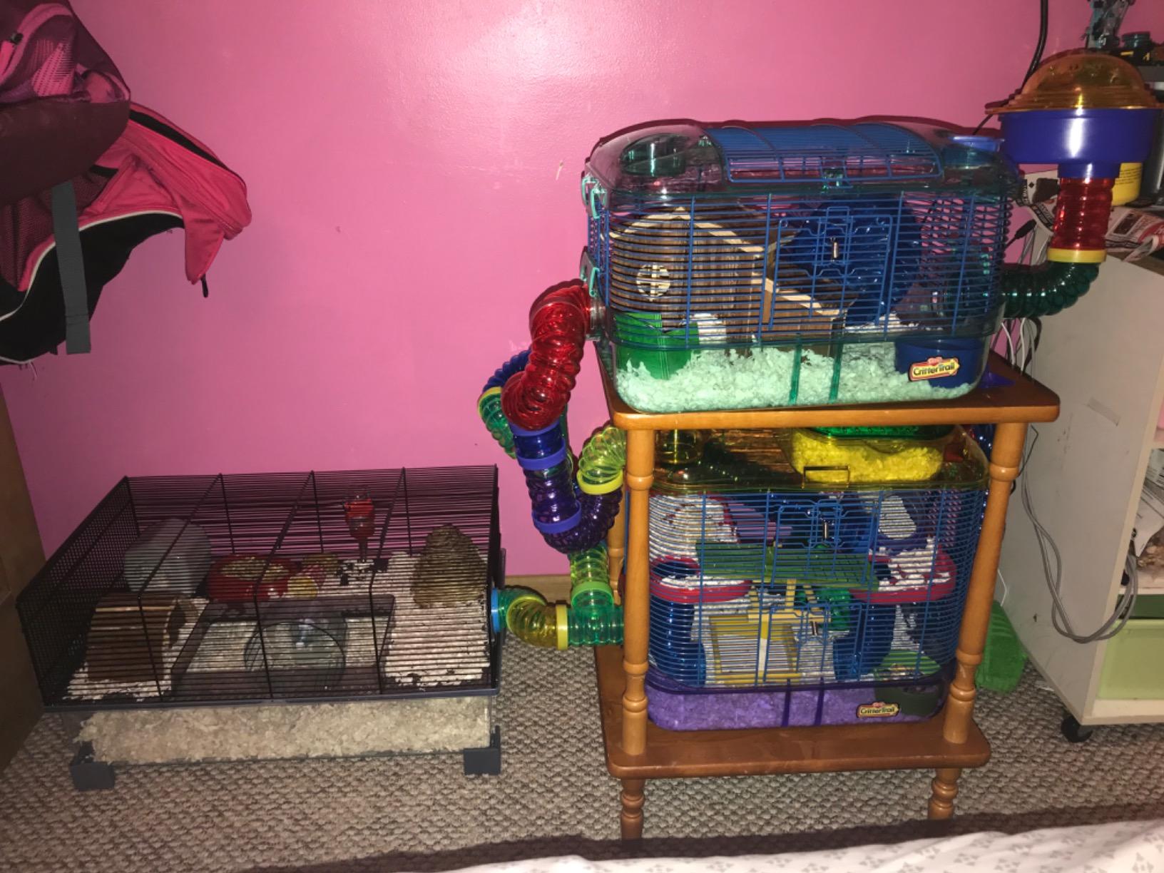 Ferplast Favola Hamster Cage Includes Free Water Bottle, Exercise Wheel, Food Dish & Hamster Hide-Out Large Hamster Cage Measures 23.6L x 14.4W x 11.8H-Inches customer photo 2
