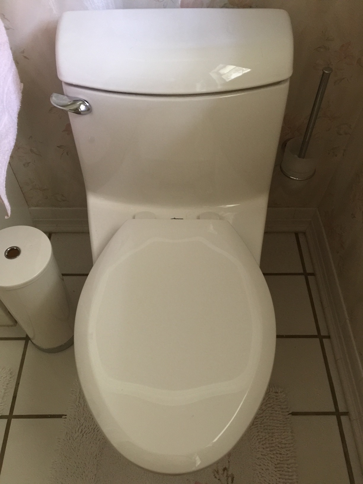 American Standard 2034314.020 Champion 4 One-Piece Toilet with Toilet Seat, Elongated Front, Chair Height, White, 1.6 gpf customer photo 1