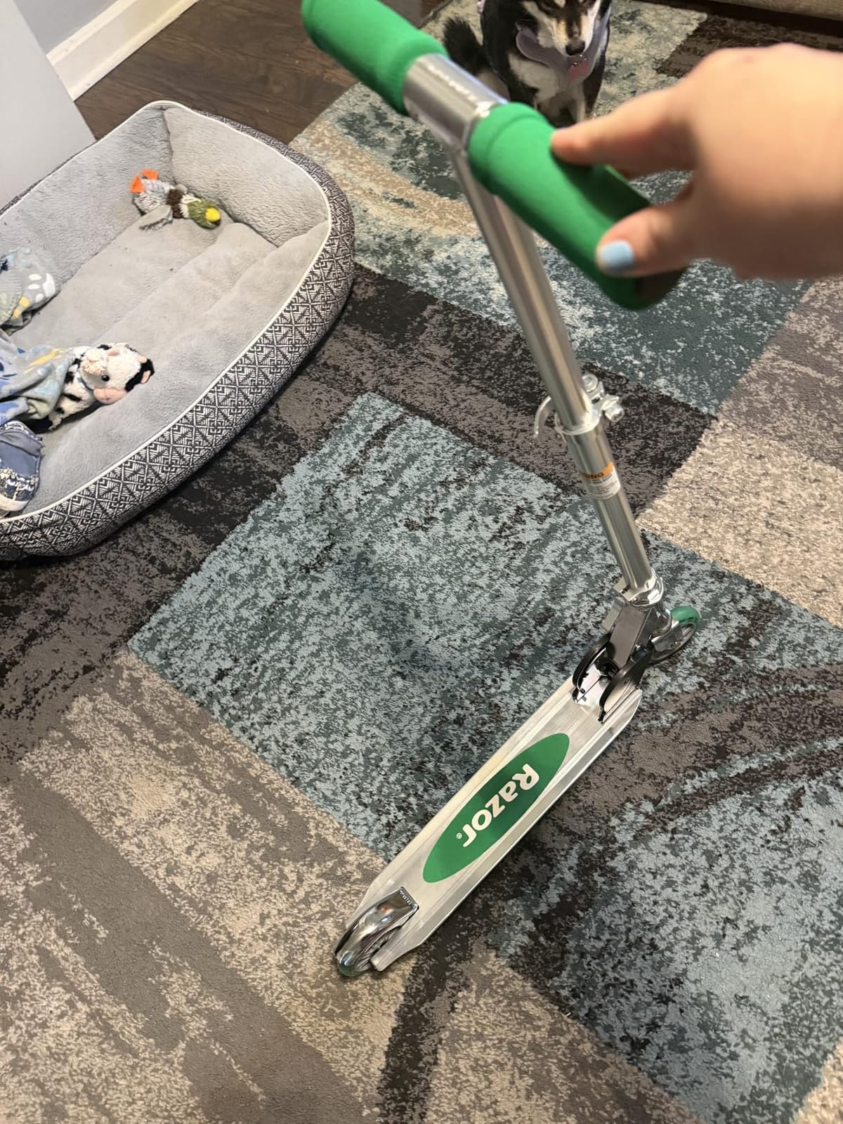Razor A Kick Scooter for Kids - Lightweight, Foldable, Aluminum Frame, and Adjustable Handlebars customer photo 1