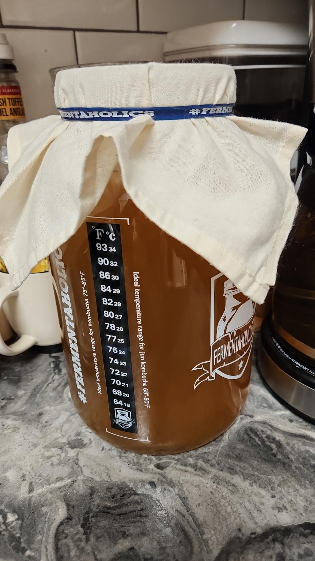 Fermentaholics Kombucha Brewing Starter Kit - USDA Certified Organic SCOBY & Tea, Complete Home Kombucha Making Kit with Culture, Kosher Certified customer photo 1