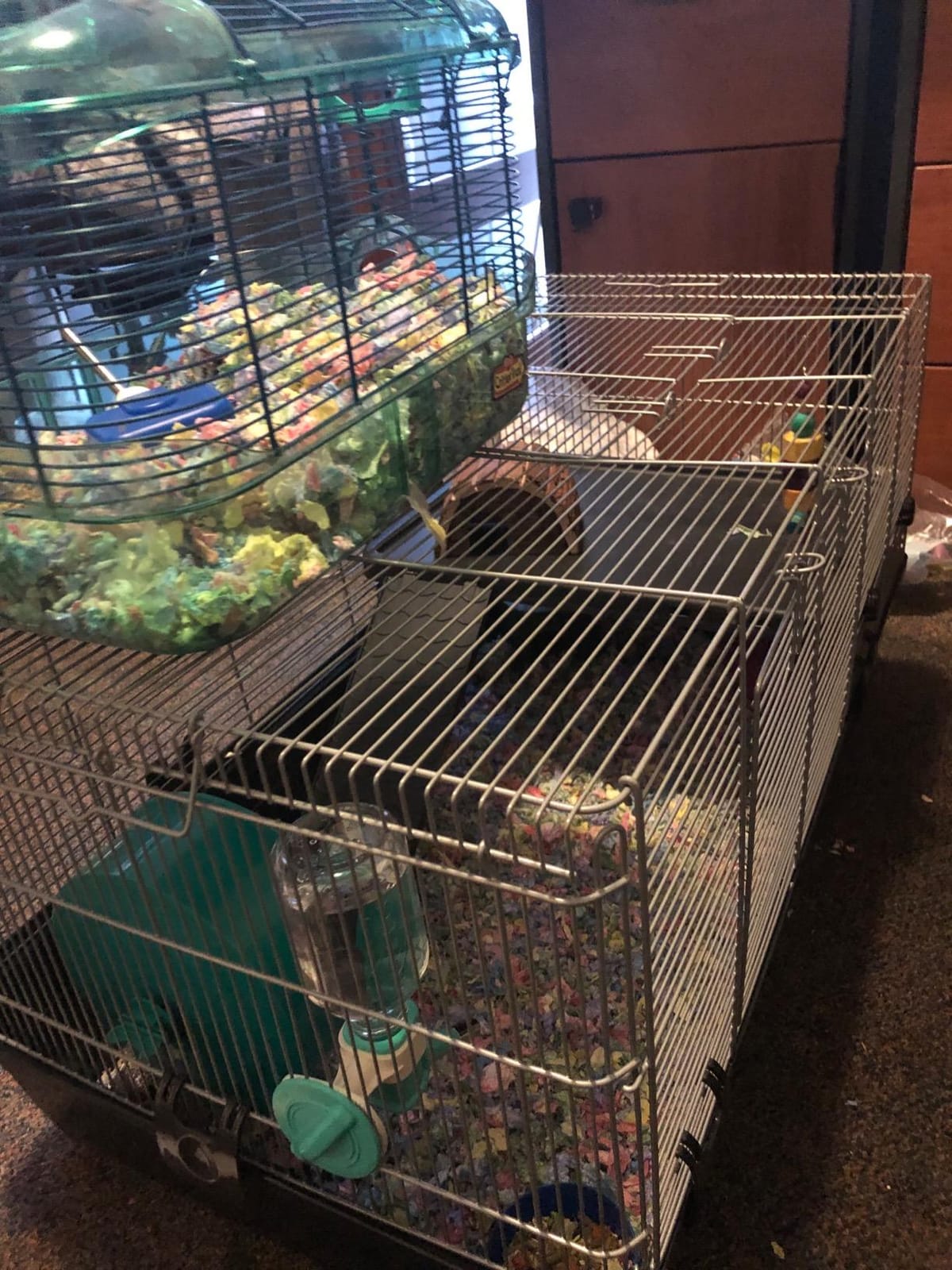 Prevue Pet Products Universal Small Animal Home for Indoor Use - Gray | Small Animal Cage for Hamsters, Guinea Pigs, Ferrets, Dwarf Rabbits, Rats, Chinchillas, & Hedgehogs, Tight Wire Spacing customer photo 2
