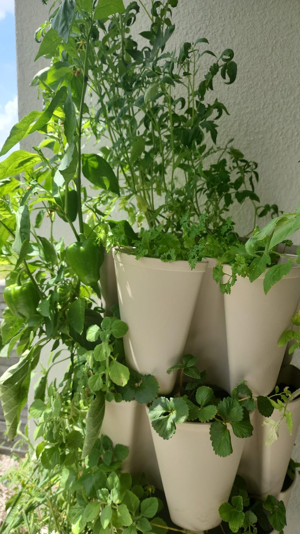 Greenstalk Patented Large 5 Tier Vertical Garden Planter with Patented Internal Watering System Great for Growing a Variety of Strawberries, Vegetables, Herbs, & Flowers (Stunning Stone) customer photo 2