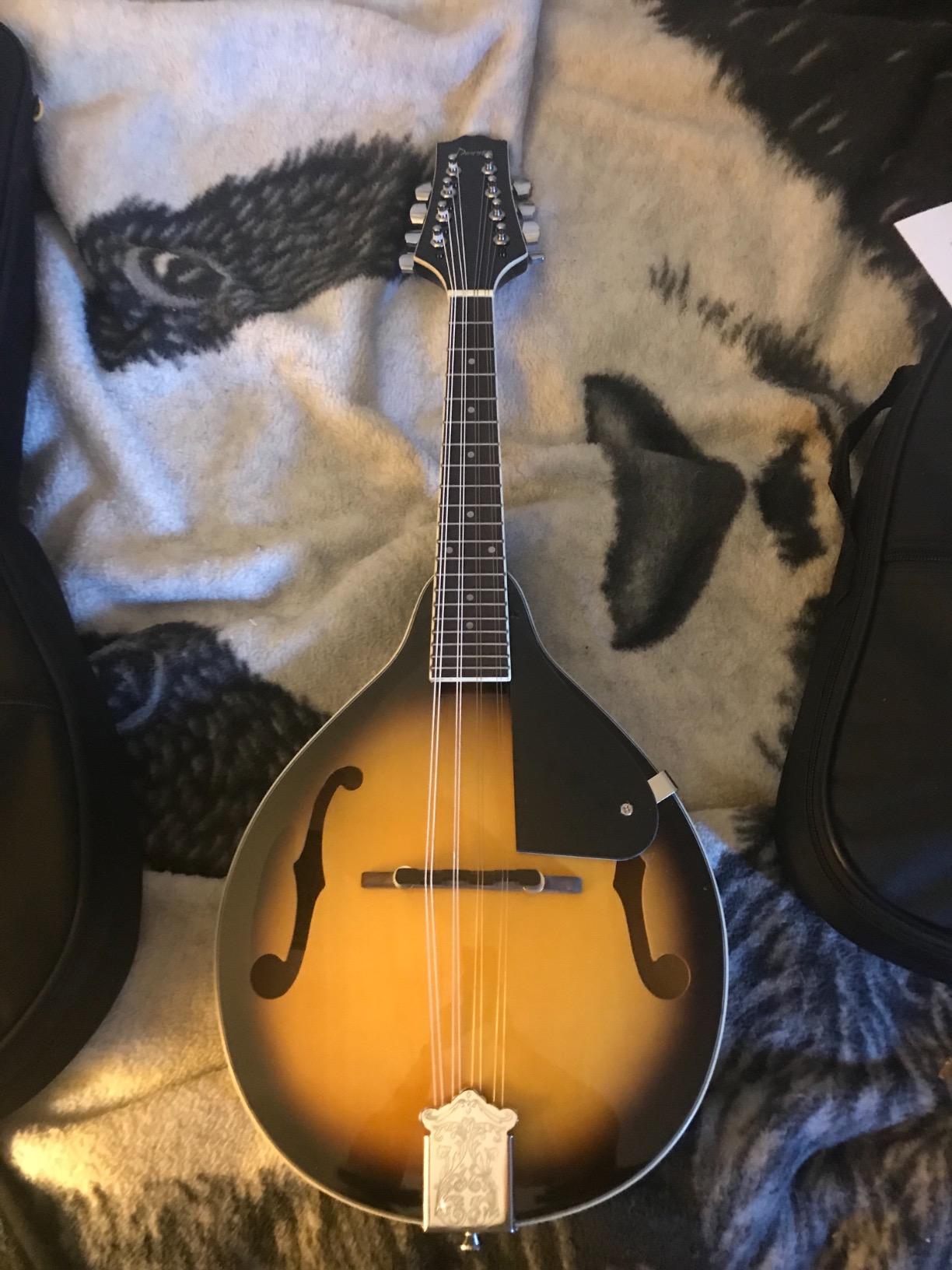 Donner A Style Mandolin Instrument Sunburst Beginner Adult Acoustic Mandolin Musical Instrument Mahogany 8 String, Bundle With Tuner String Bag Guitar Picks,DML-1 customer photo 1