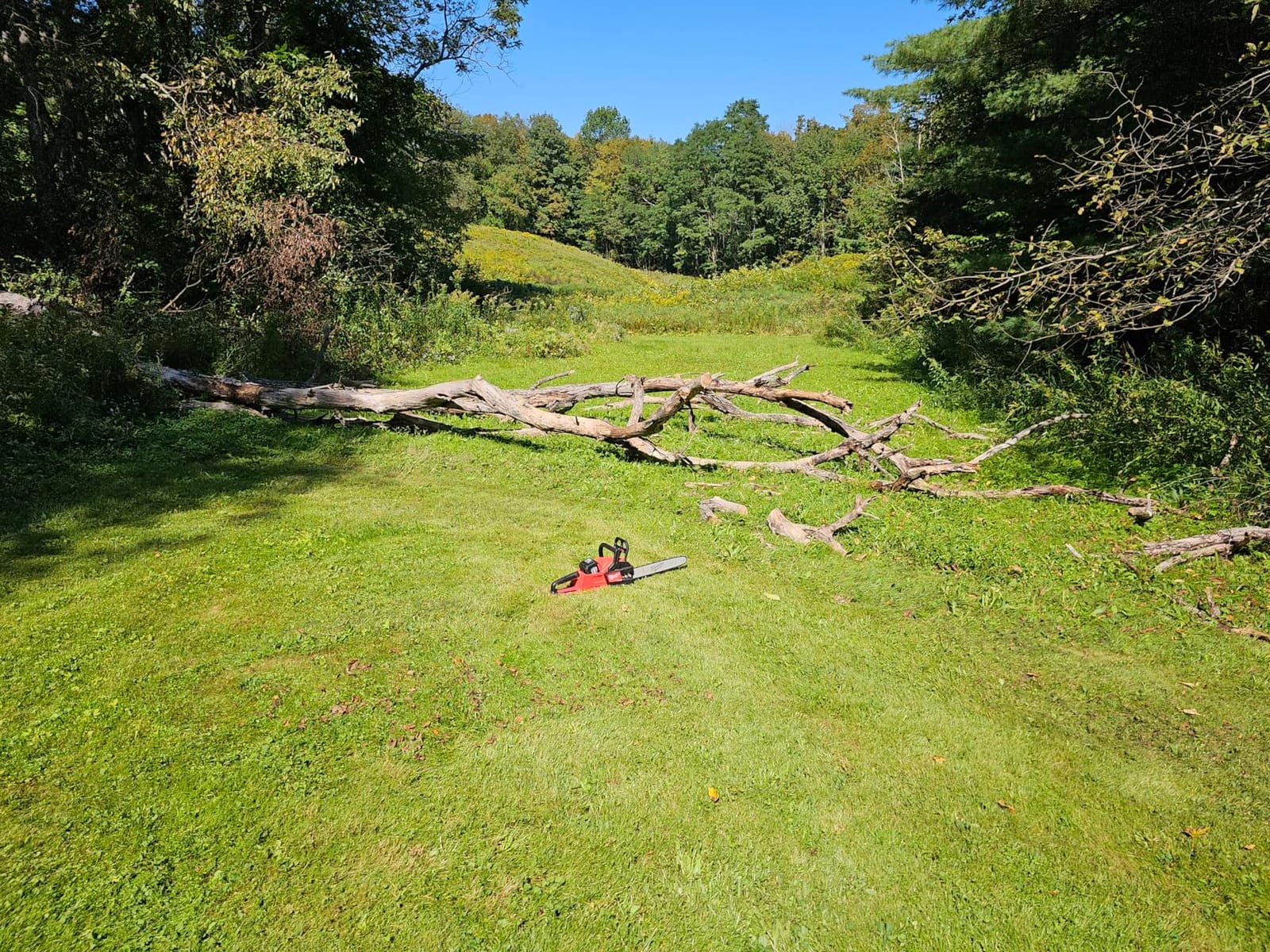 Milwaukee 2727-20 M18 FUEL 16 in. Chainsaw Tool Only - Battery and Charger NOT Included customer photo 1