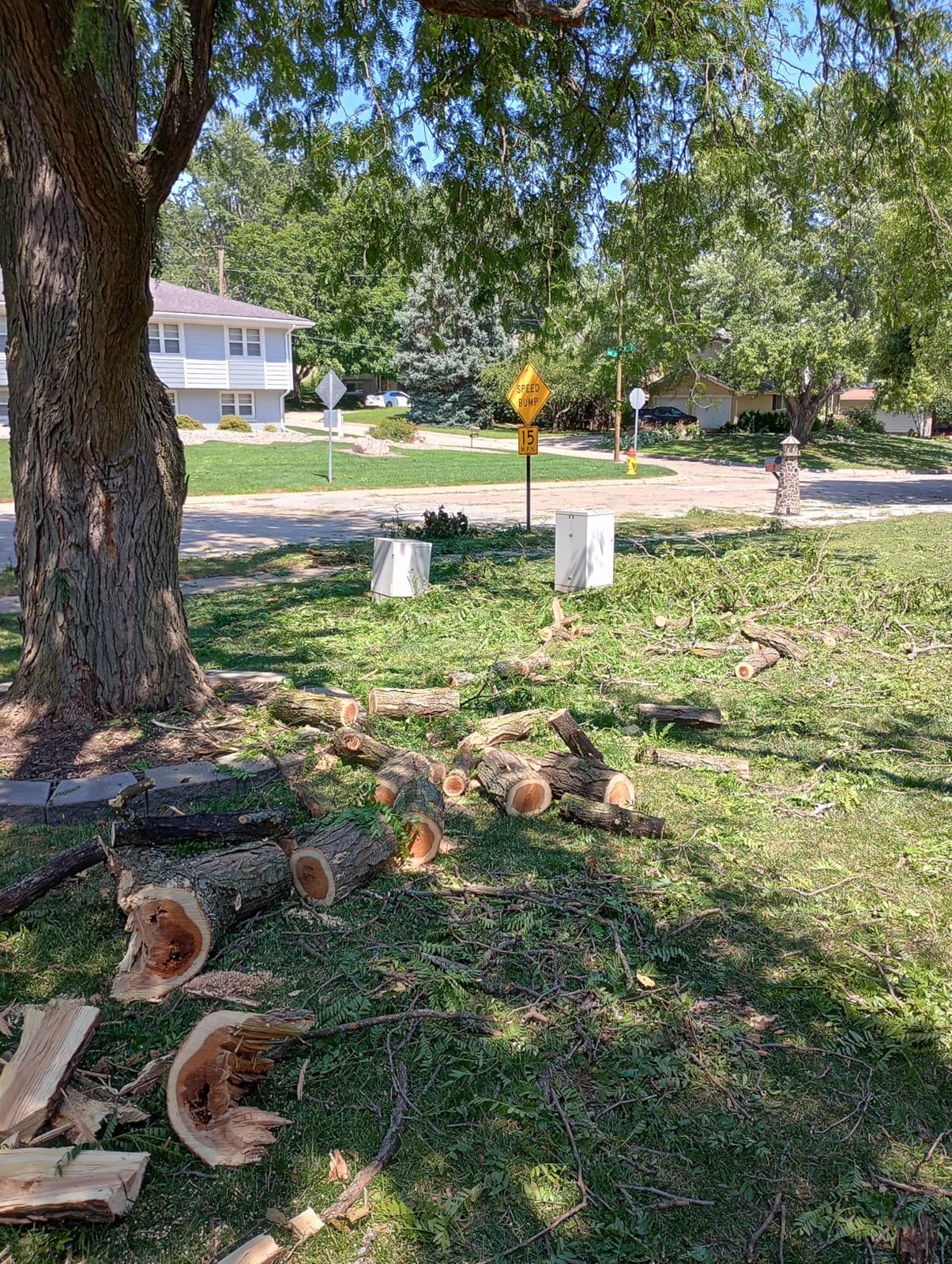 CRAFTSMAN V20 Cordless Chainsaw, 12-Inch Electric Chainsaw, Battery Powered, Battery and Charger Included (CMCCS620M1) customer photo 1