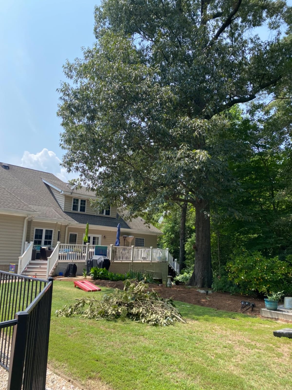 CRAFTSMAN V20 Cordless Pole Saw, 14-Foot, Battery and Charger Included, Pole Saws for Tree Trimming, Up to 325 Cuts per Charge, 4.0Ah, Electric Tree Trimmer (CMCCSP20M1) customer photo 1