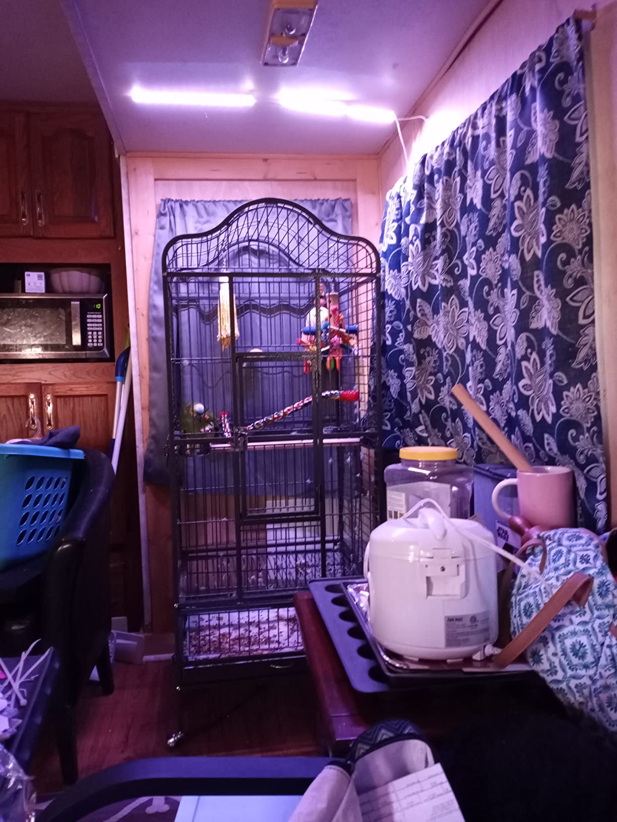 Yaheetech Extra Large Bird Cage 63'' Open Play Top Bird Cage for African Grey Parrots/Amazon Parrot/Caiques/Macaw with 360° Wheels customer photo 1