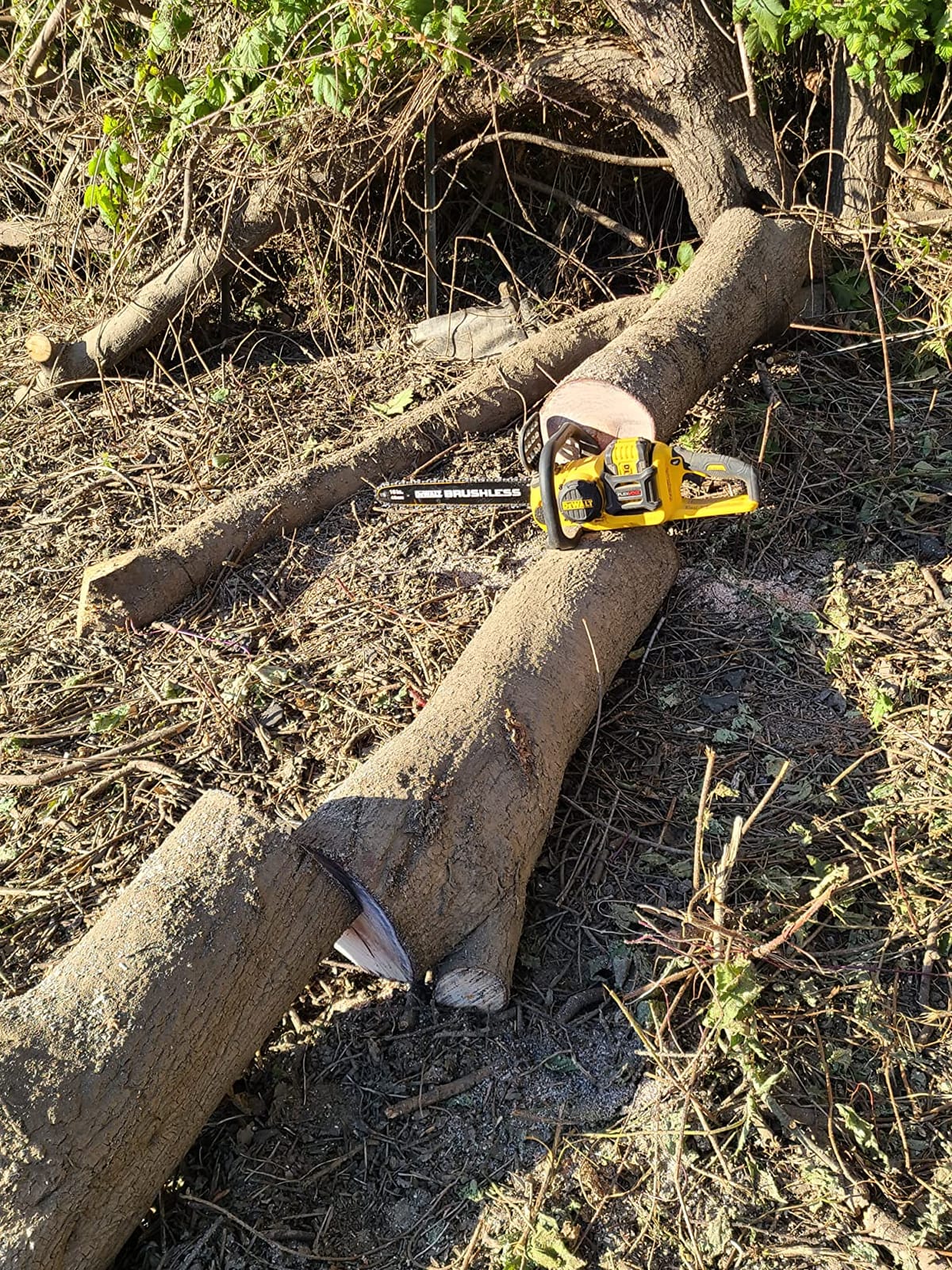 DEWALT FLEXVOLT CHAINSAW 60V 2Ah 16IN customer photo 1