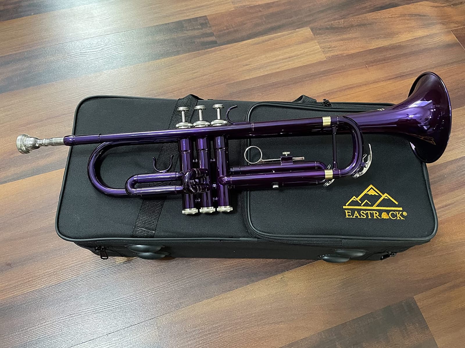 EASTROCK Bb Trumpet Standard Trumpet Set with Carrying Case,Gloves, 7C Mouthpiece and Cleaning Kit (Gold) customer photo 2